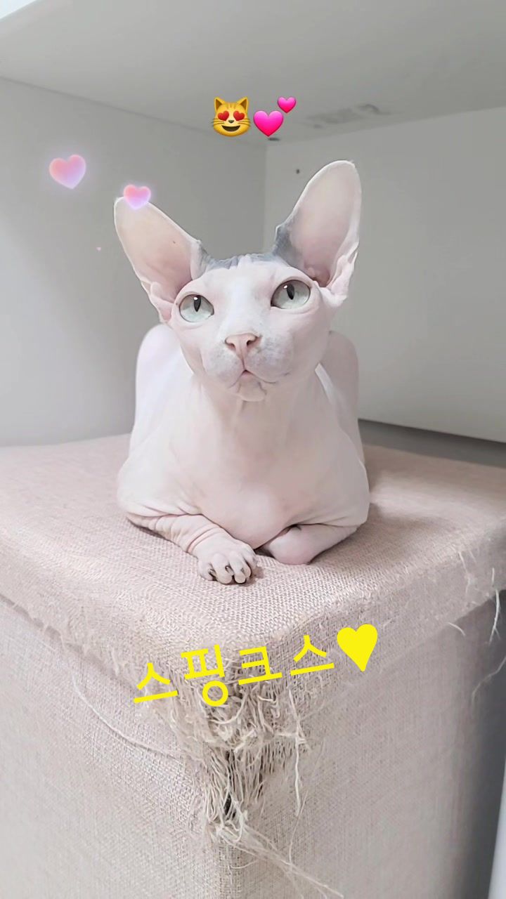@짠주몬