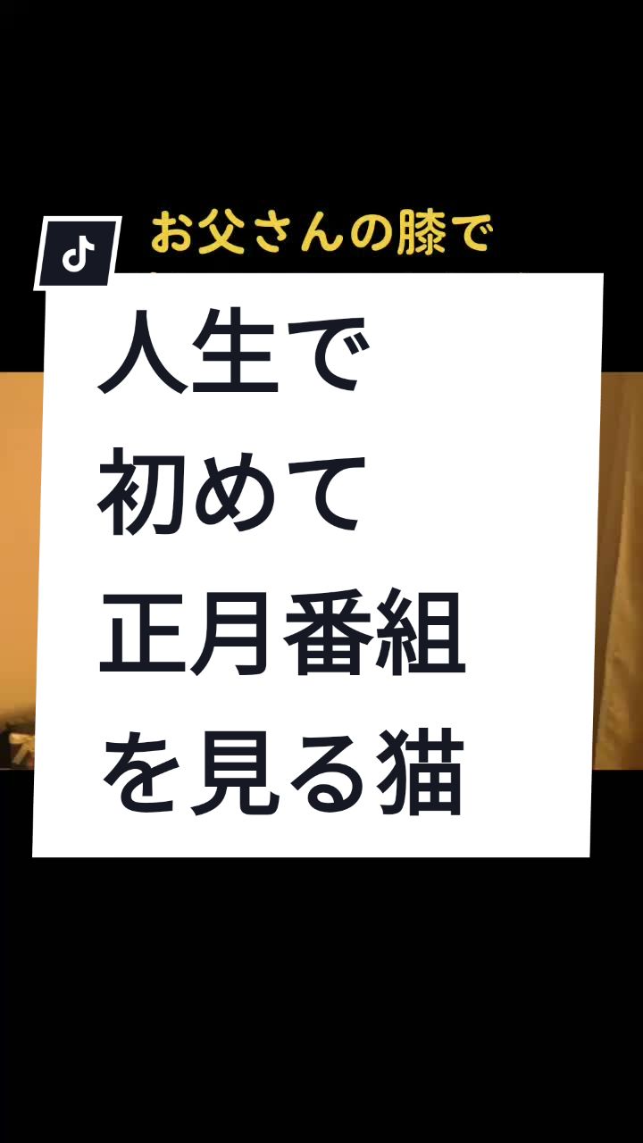 @こゆきチャンネル