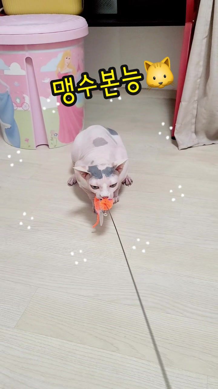 @짠주몬