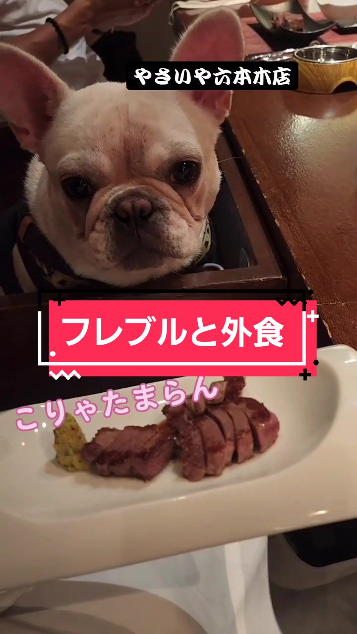 @フレブルJesse ❤️ MyO