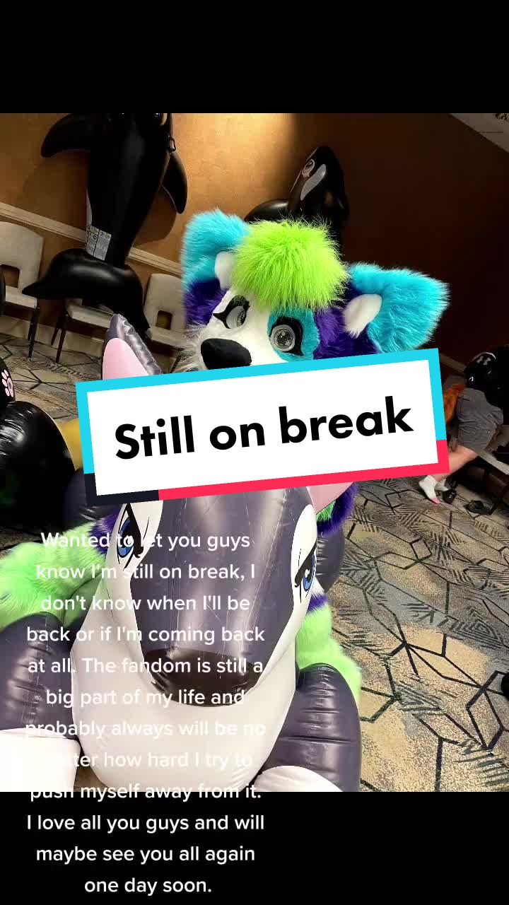 @Luna Husky