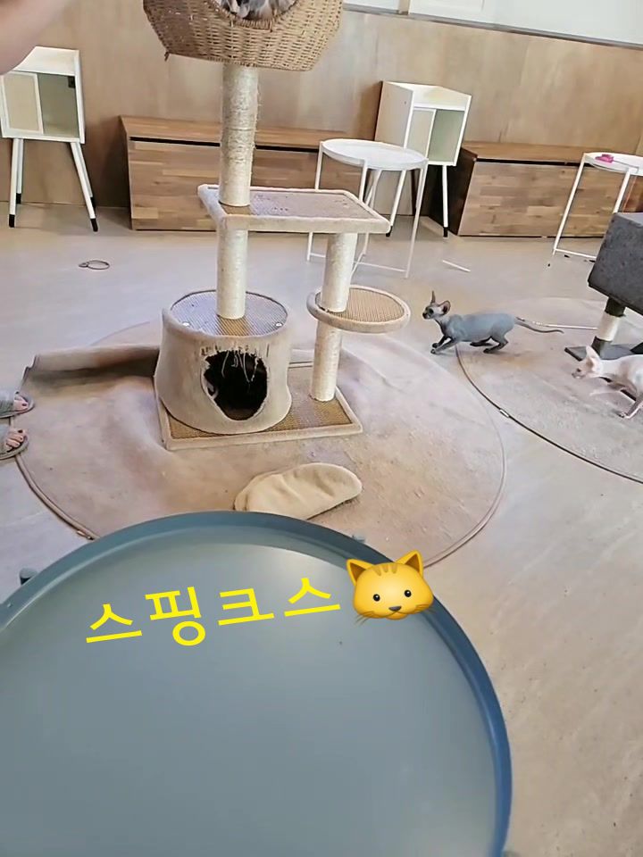@짠주몬