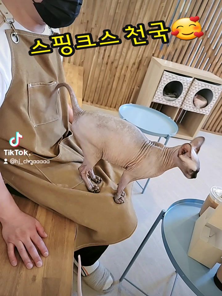 @짠주몬