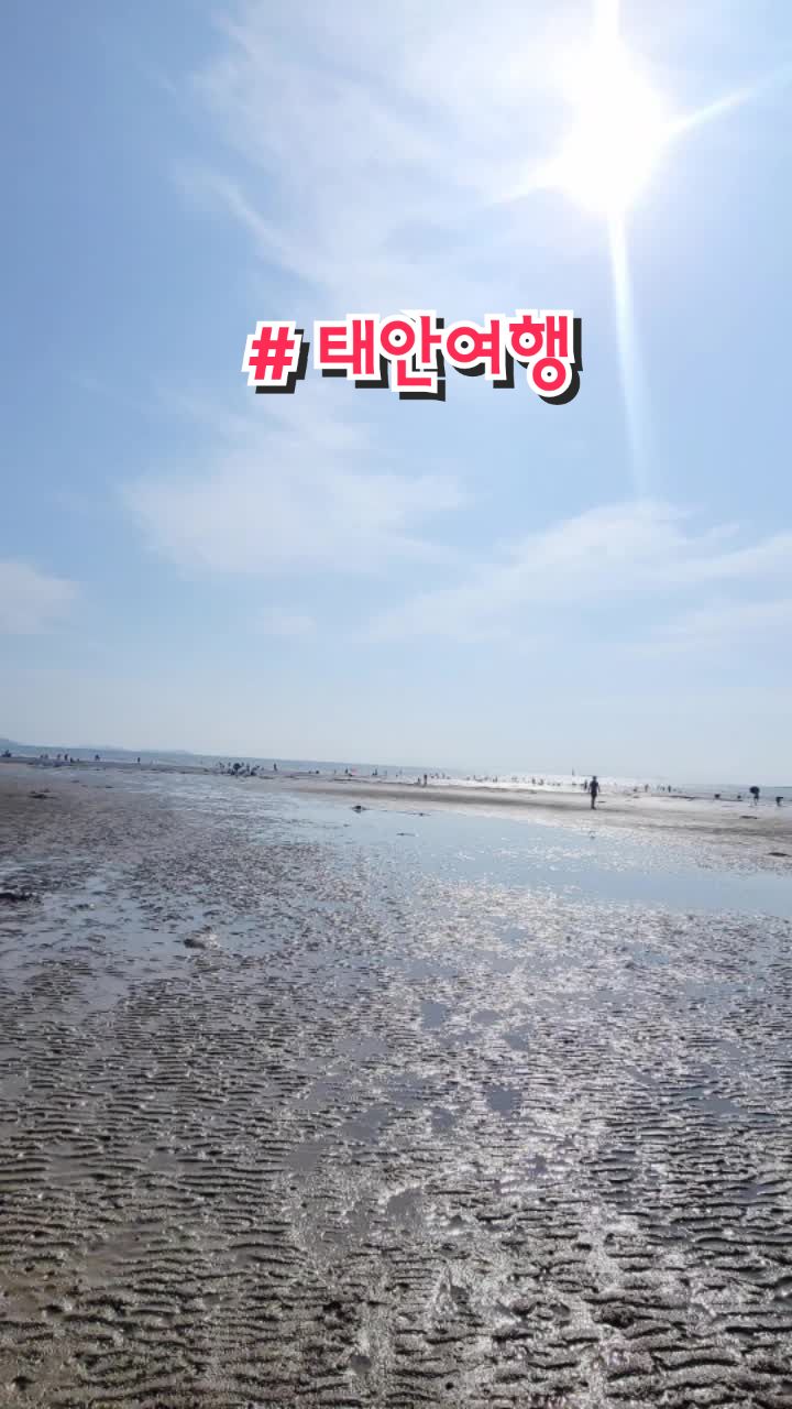 @짠주몬