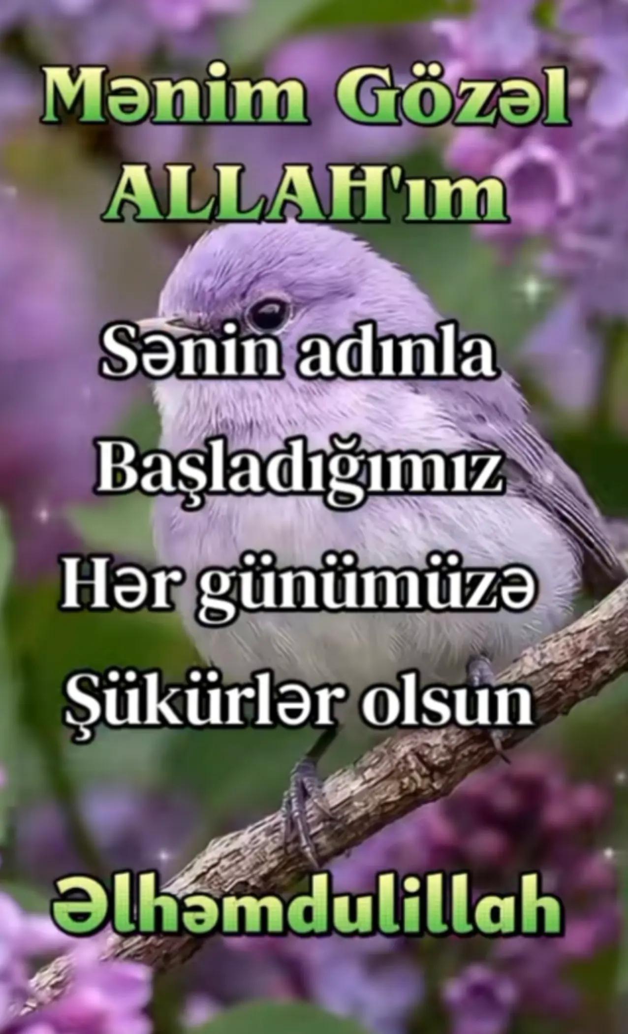 @🇹🇷KÖLGƏ056🇦🇿