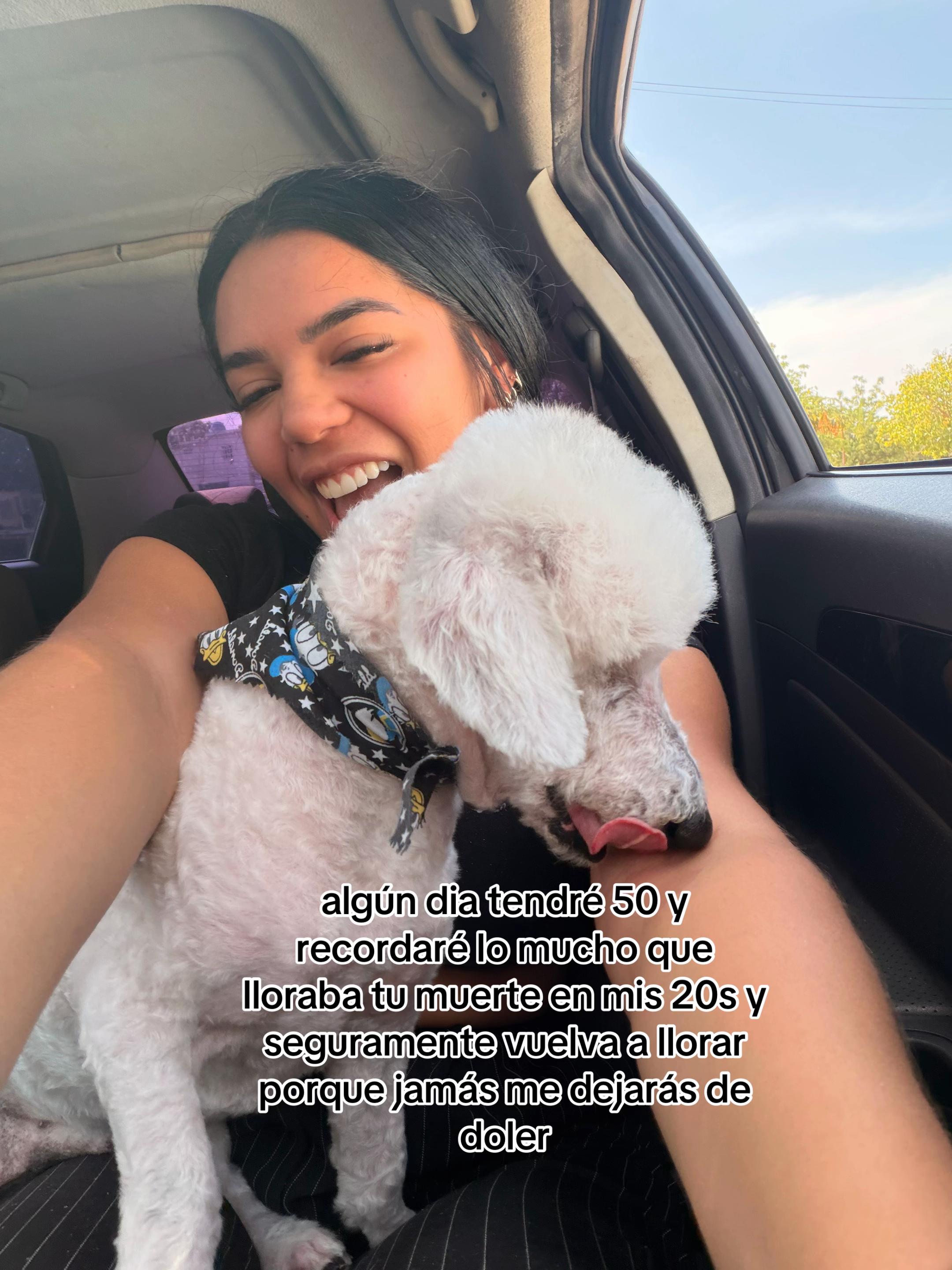 @Evielysoficial2