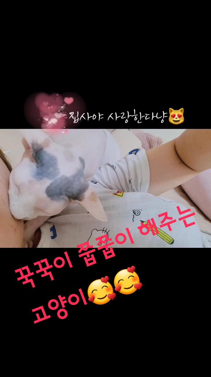 @짠주몬