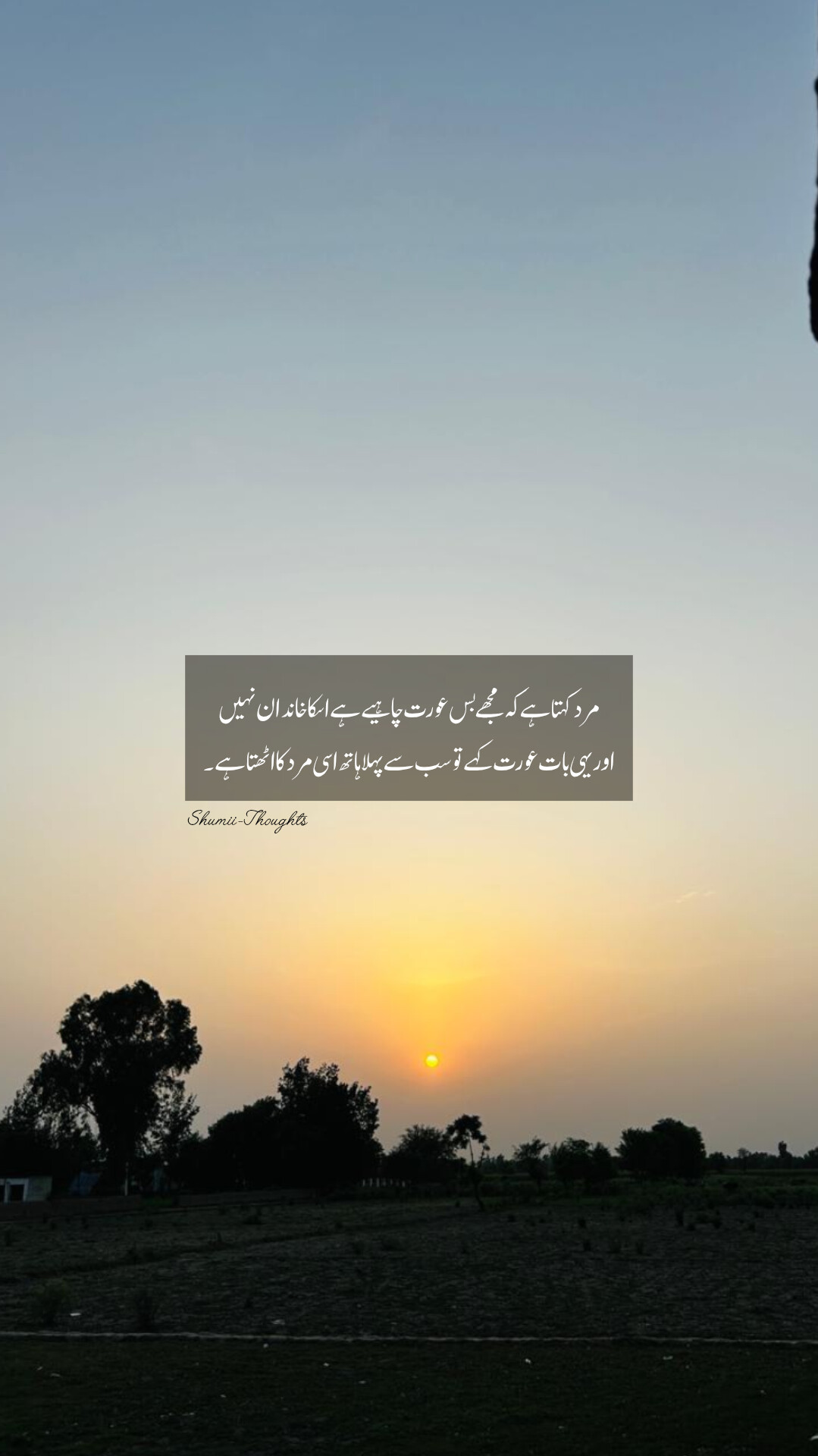 @shumaila malik