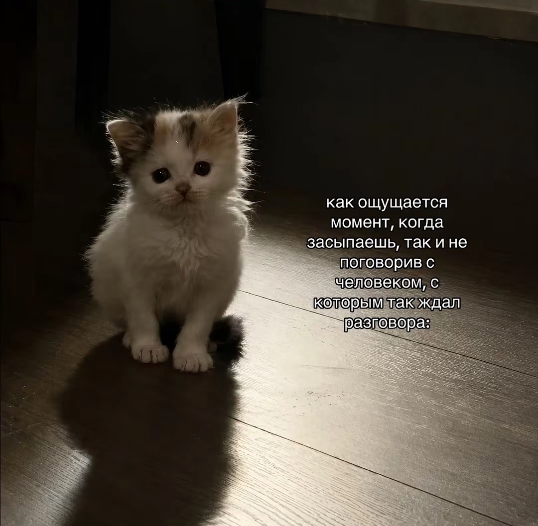 @в сердце только "Т"