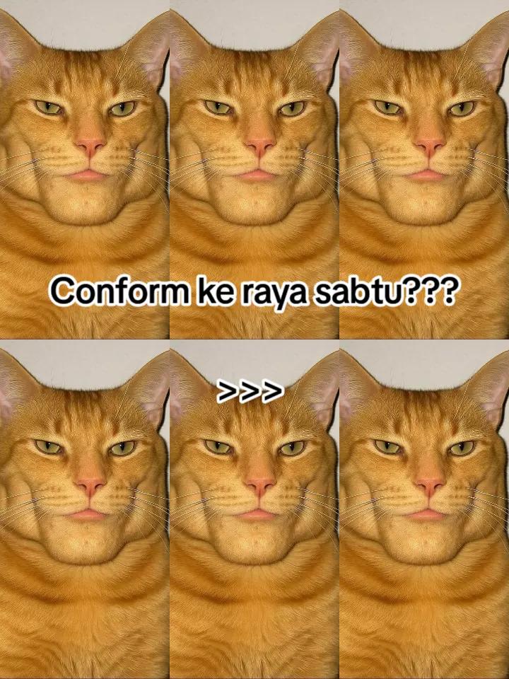 @HykalSazer01