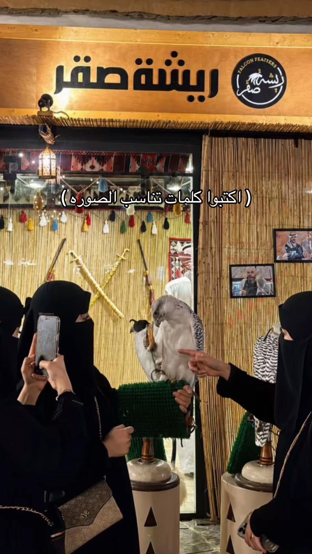 @ريشة صقر