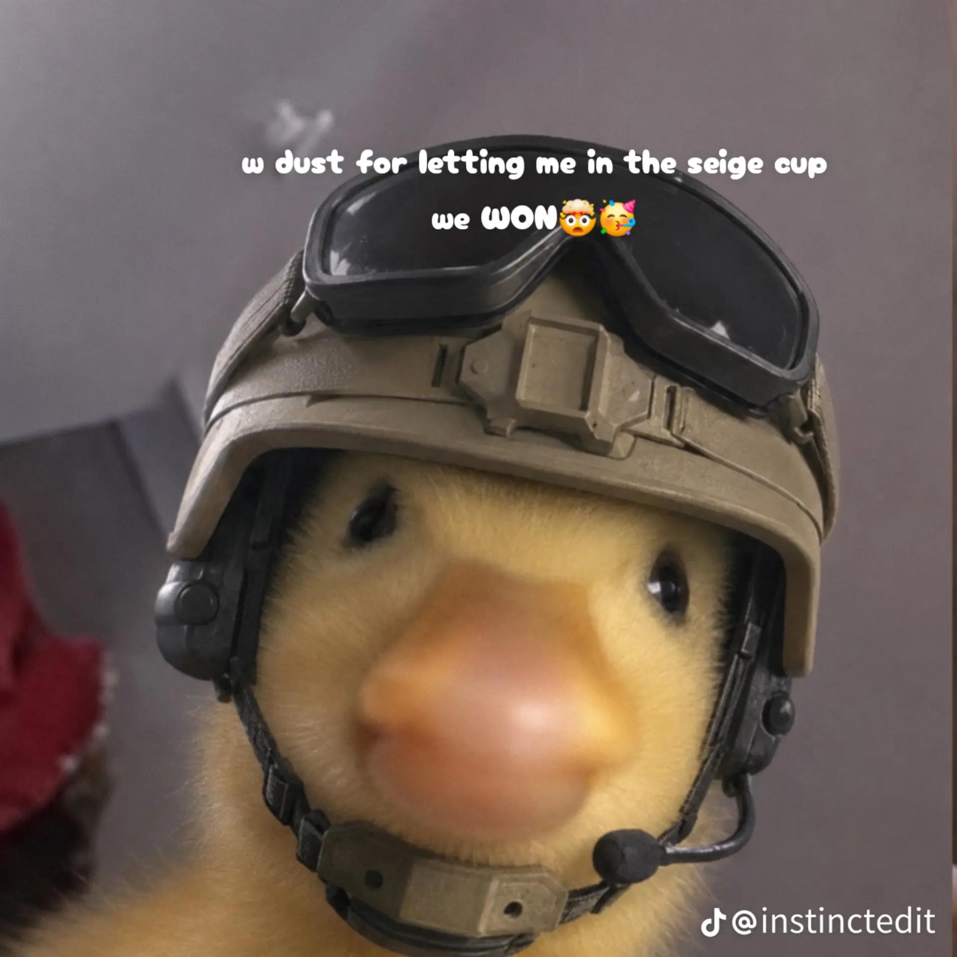 @gingerninja123