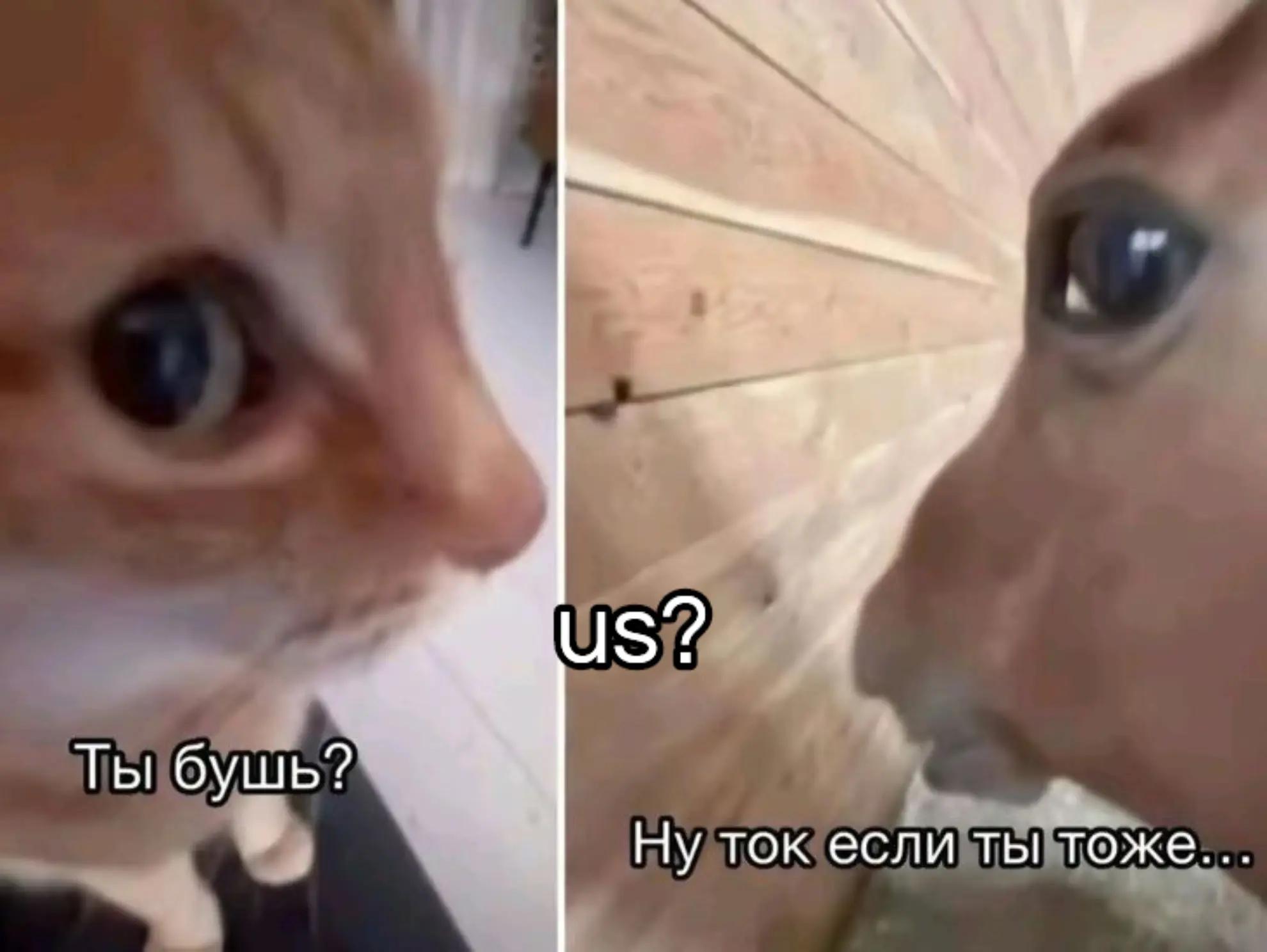 @sanny