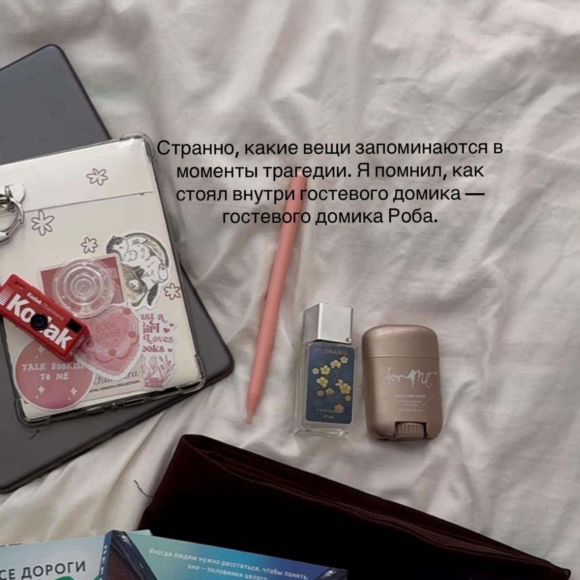@༘⋆ the pixie diaries ྀི