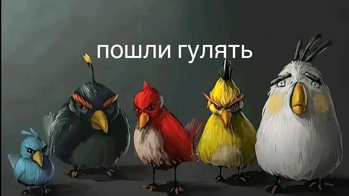@𝖟𝖉𝖊𝖘𝖍𝖒𝖆𝖓𝖓𝖓 {wt}