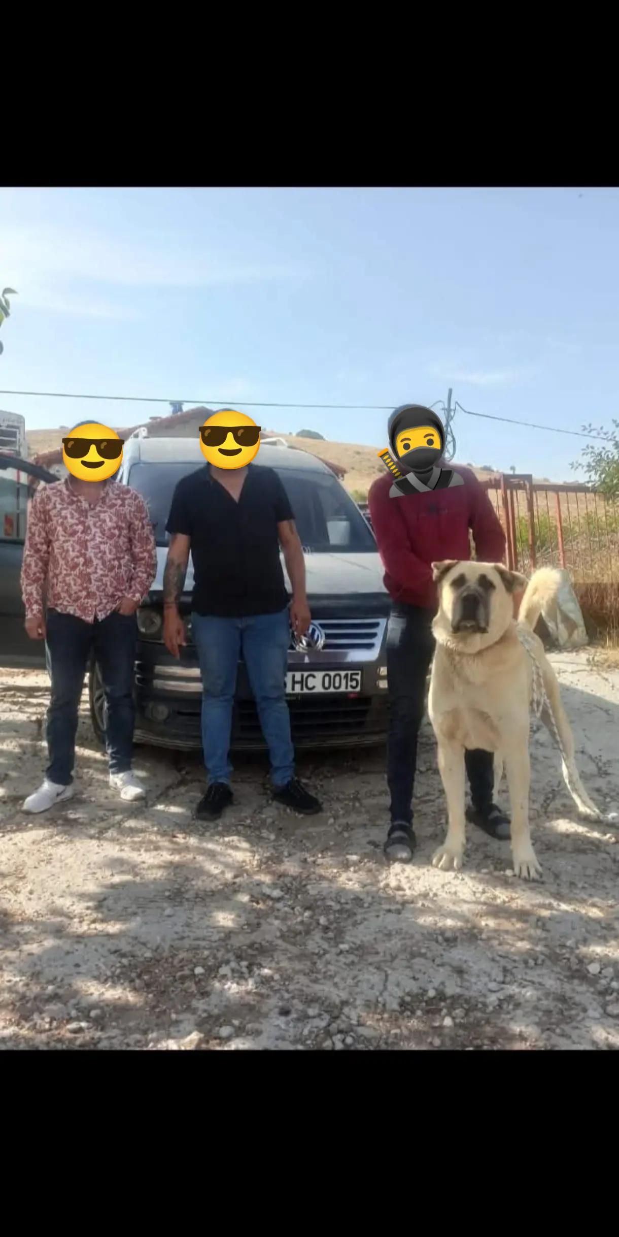@🏆 TRKANGAL23 🏆