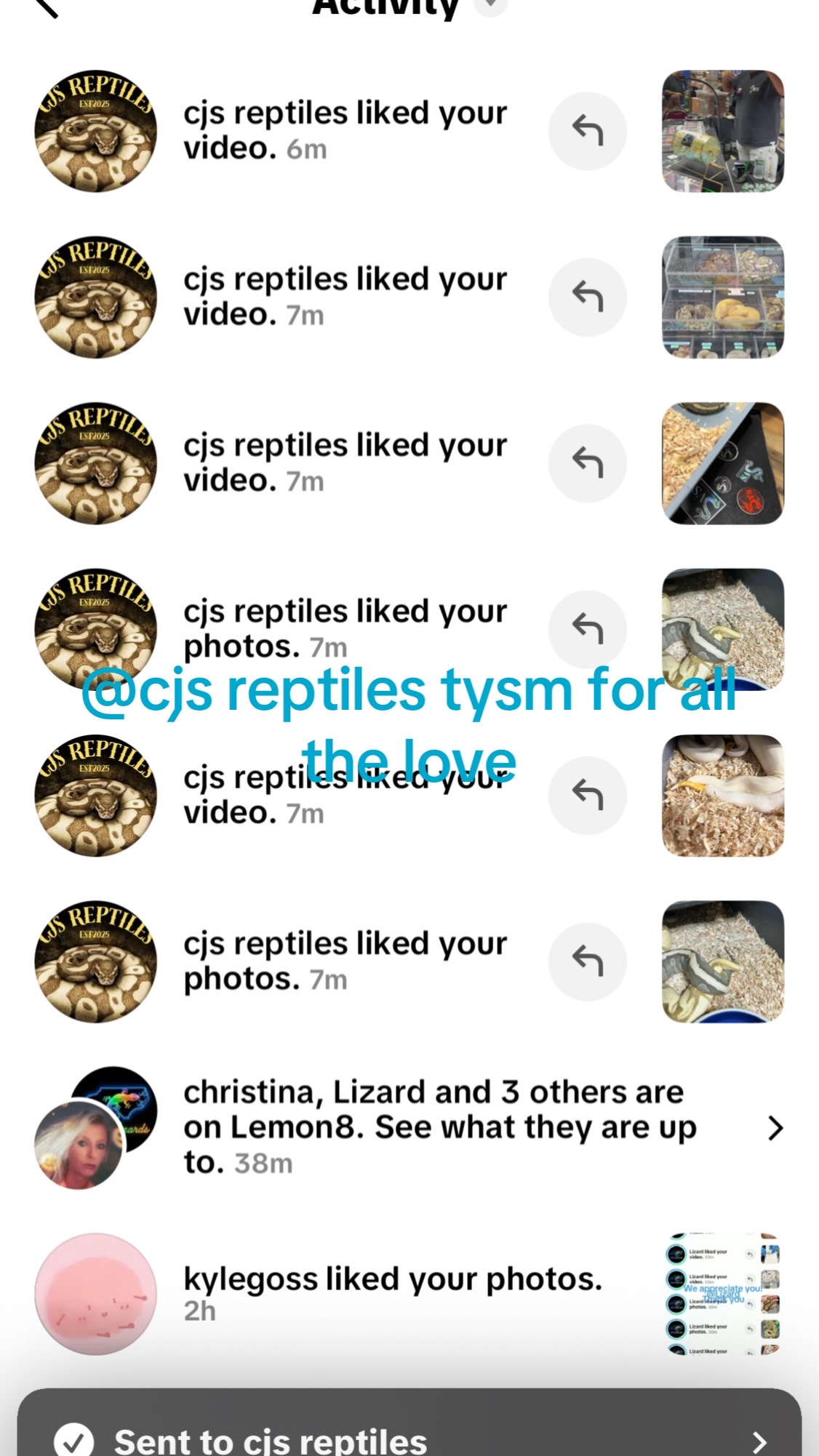 @Sallevallesnakes (jose)