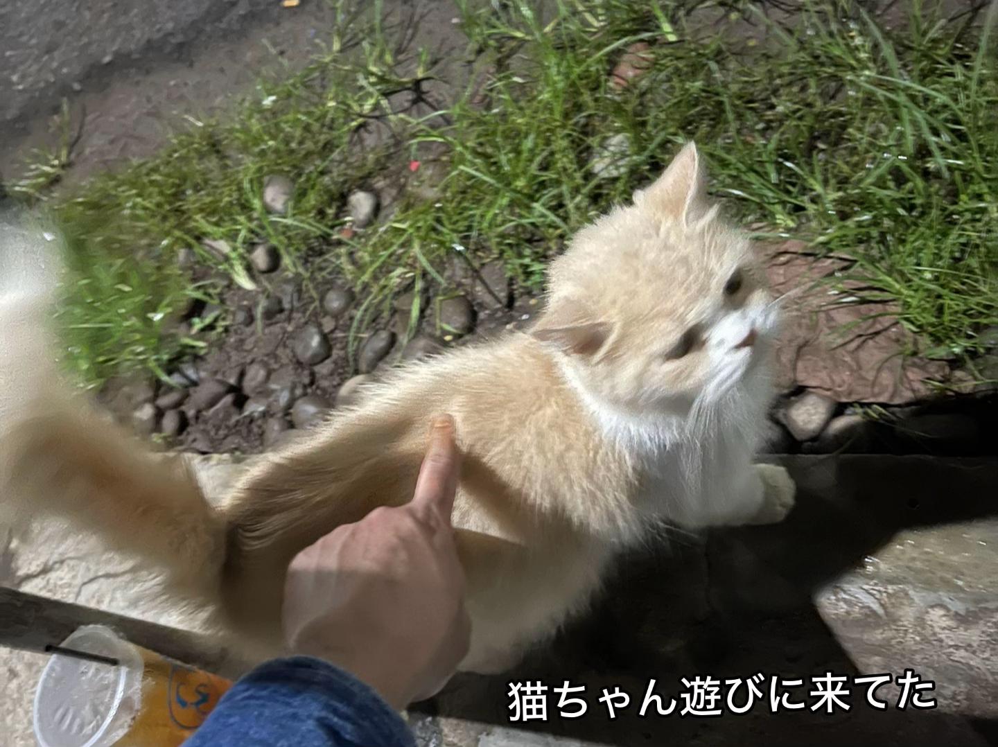 @若上司
