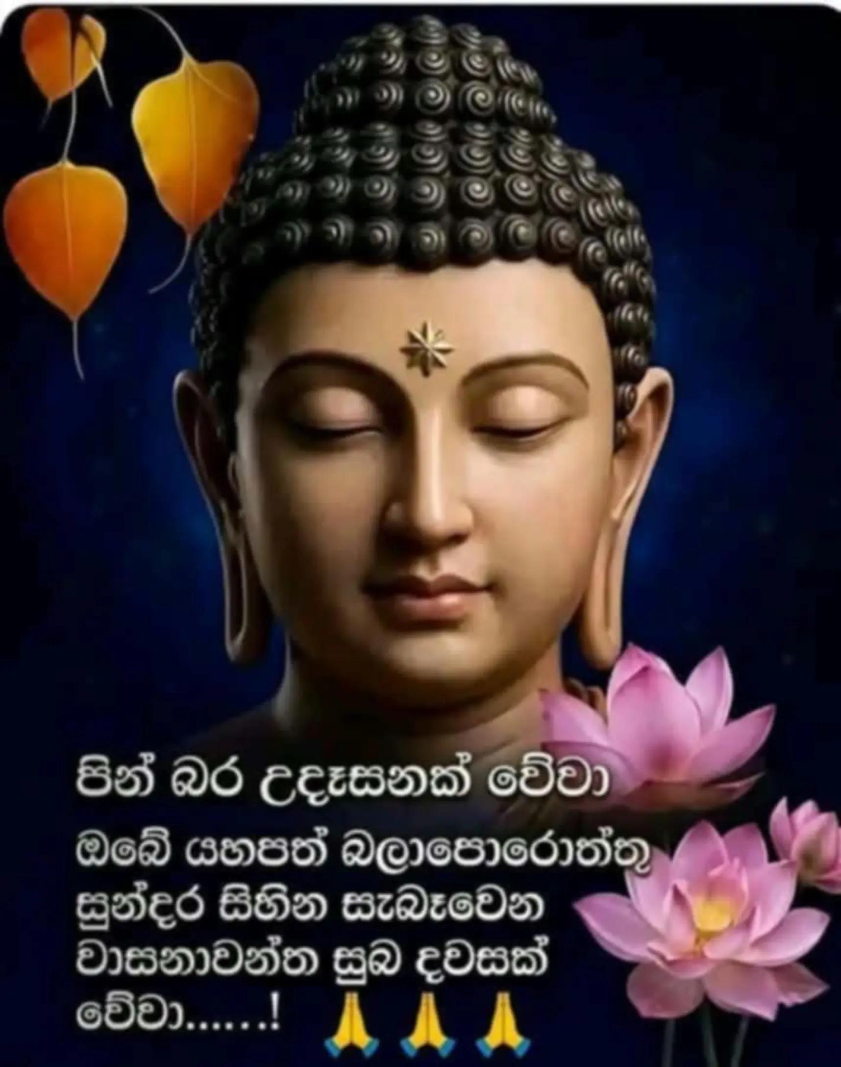 @prasanna