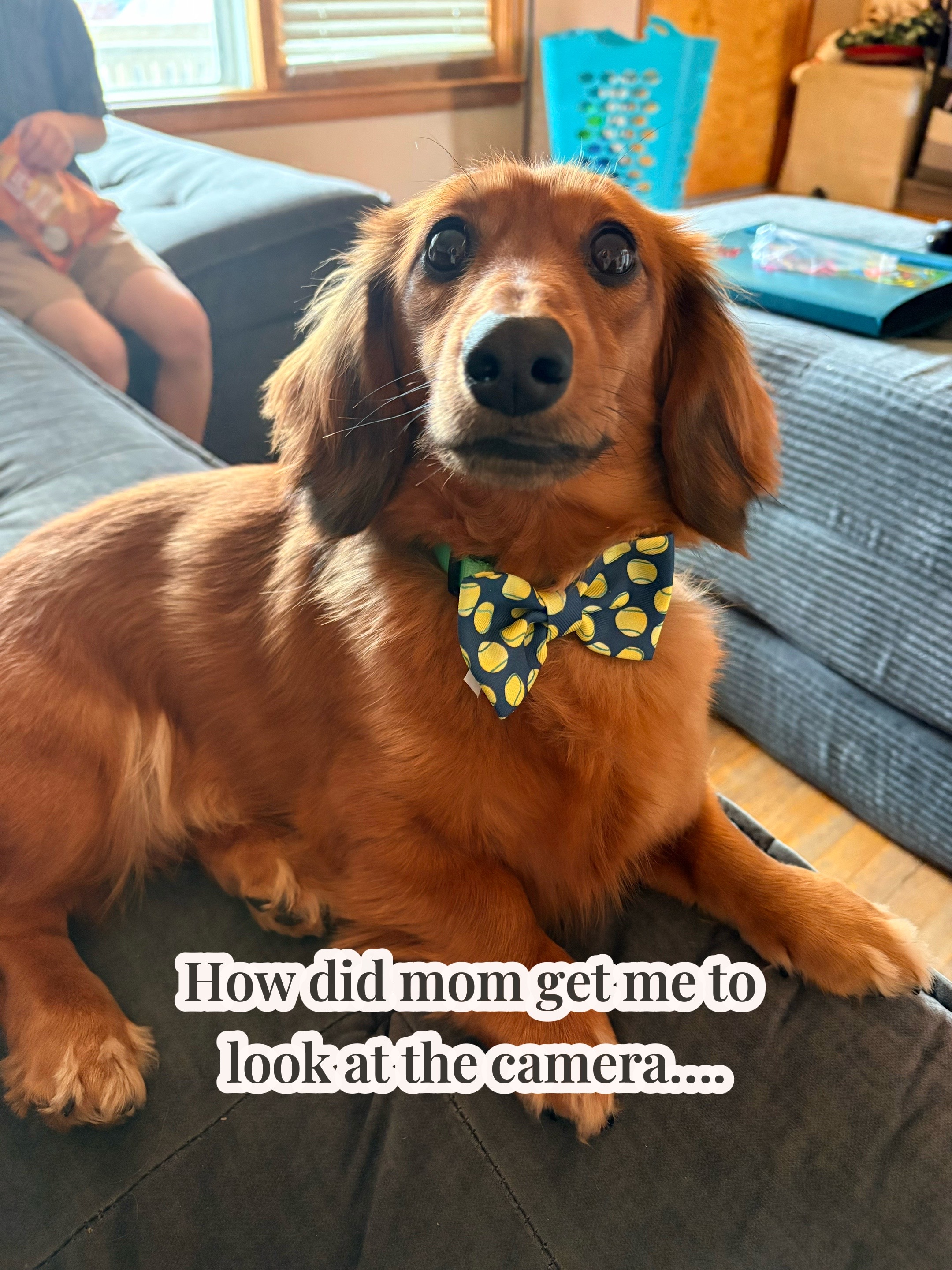 @remi.the.mini.ween