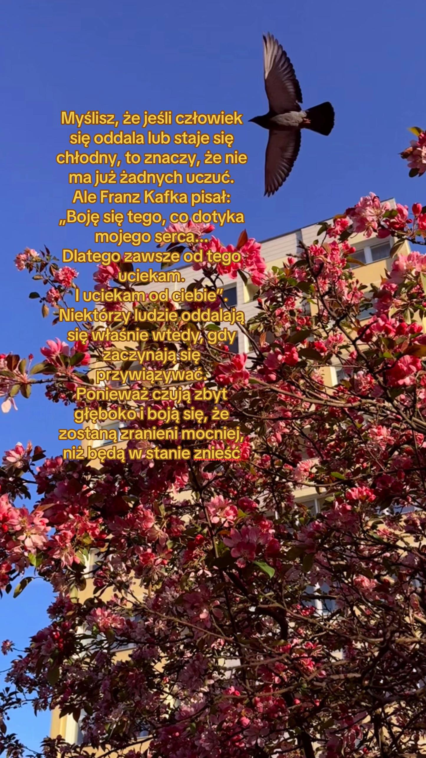 @Anastazja💃🏻🤟