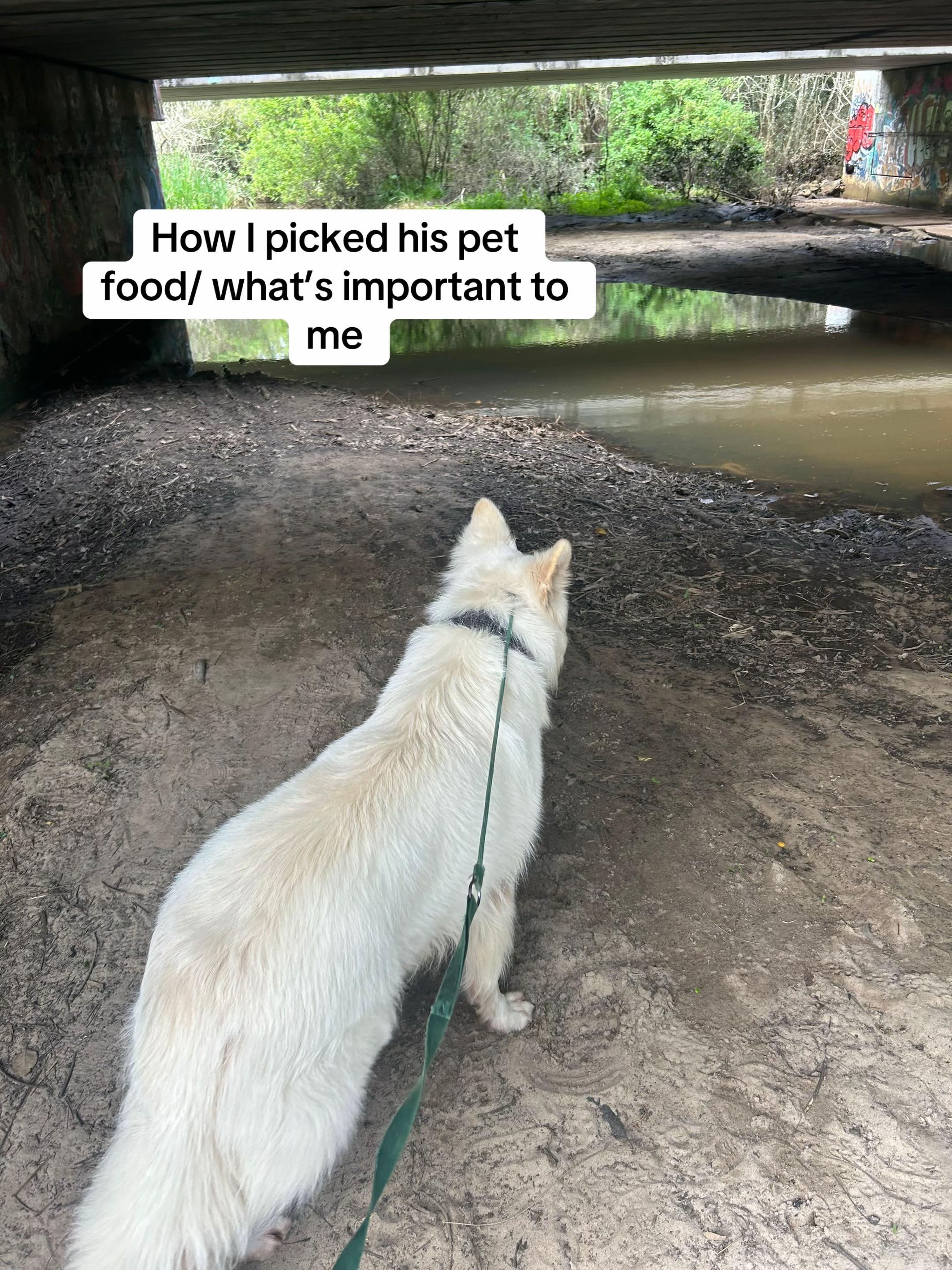 @Barksnbites