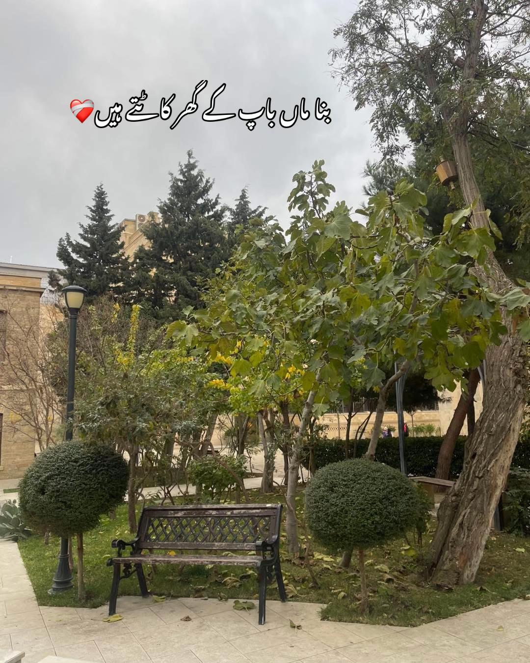 @Nazish (انائےناز)