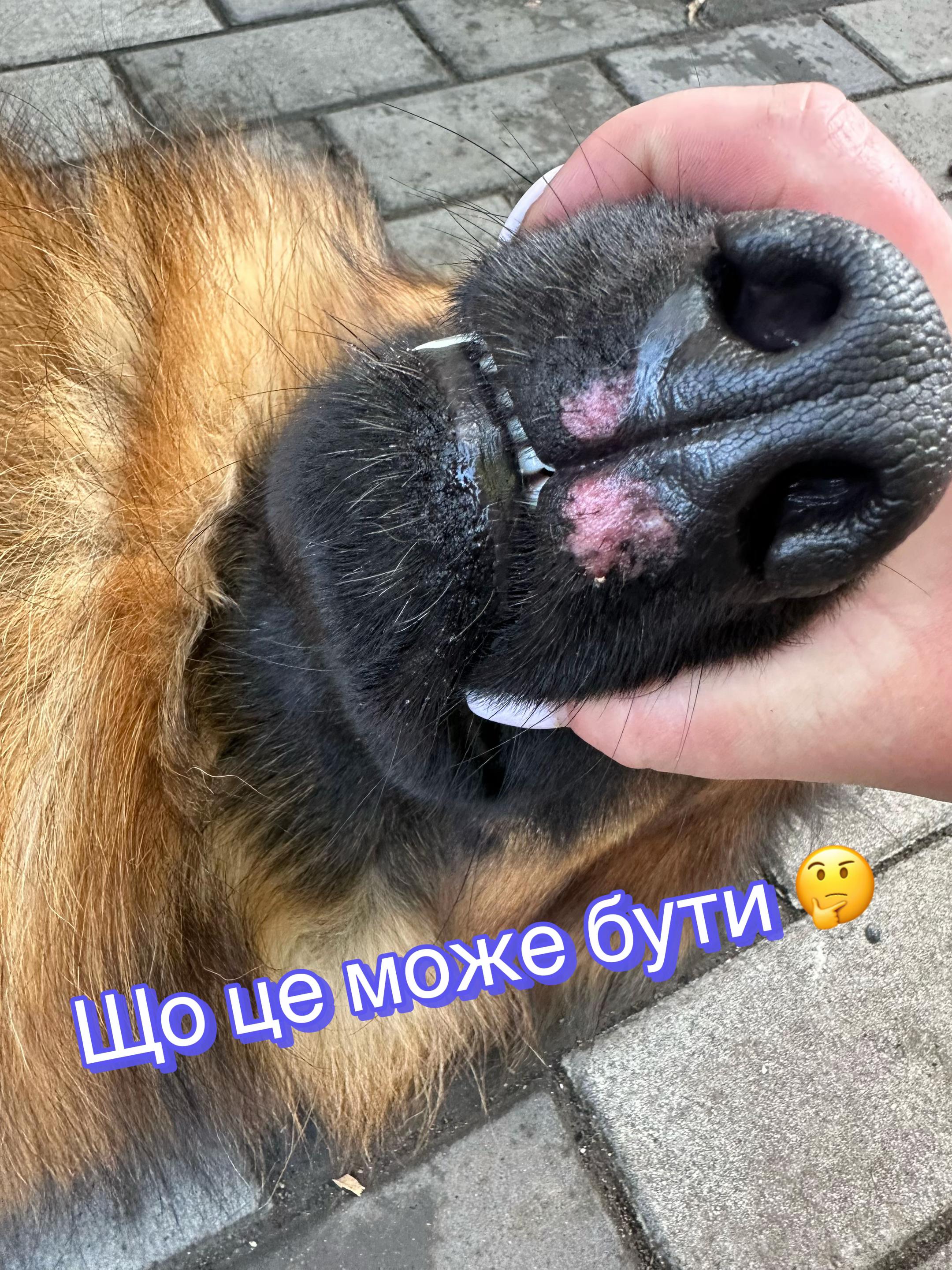@marynka🇺🇦