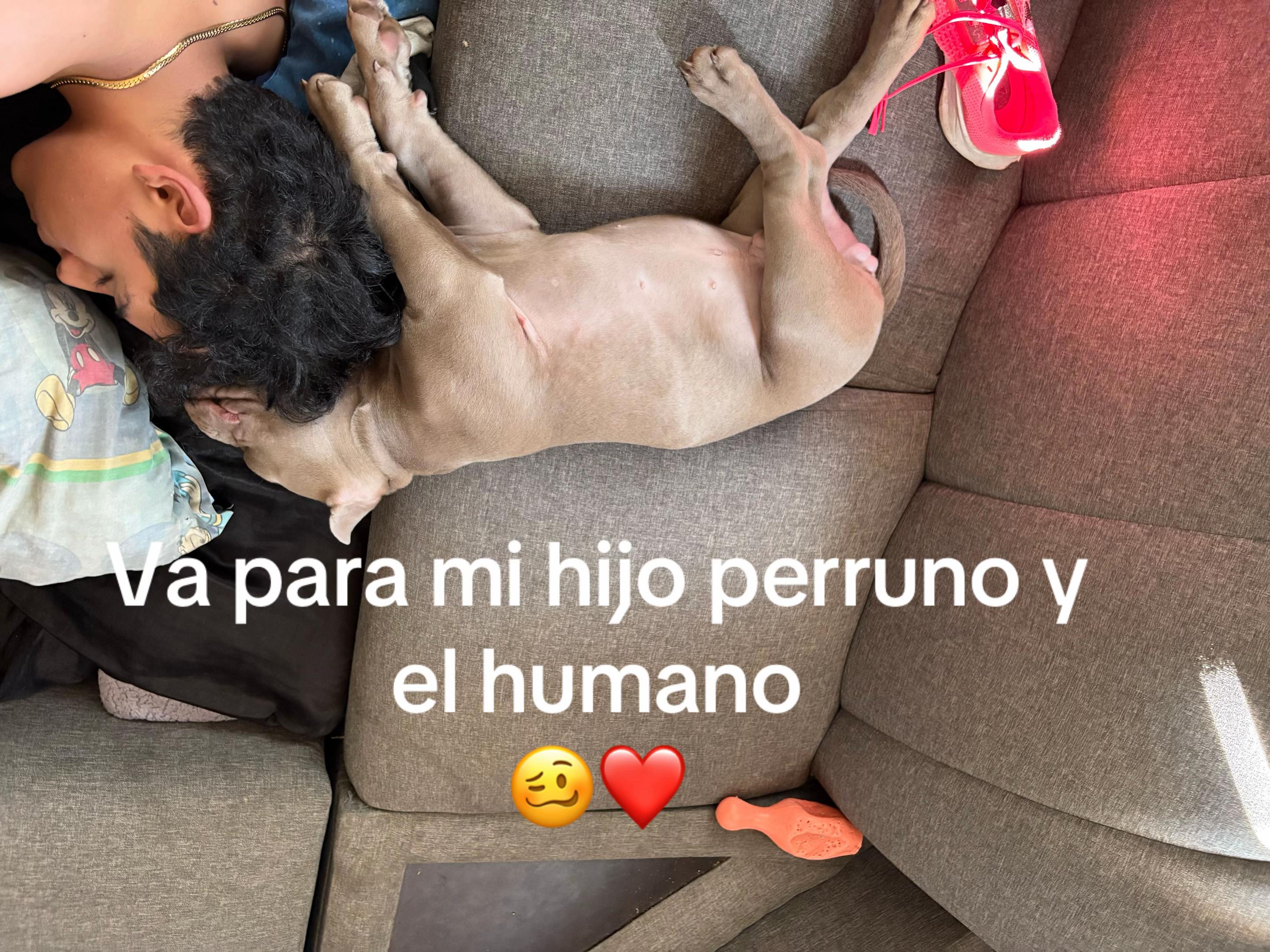@Chanona