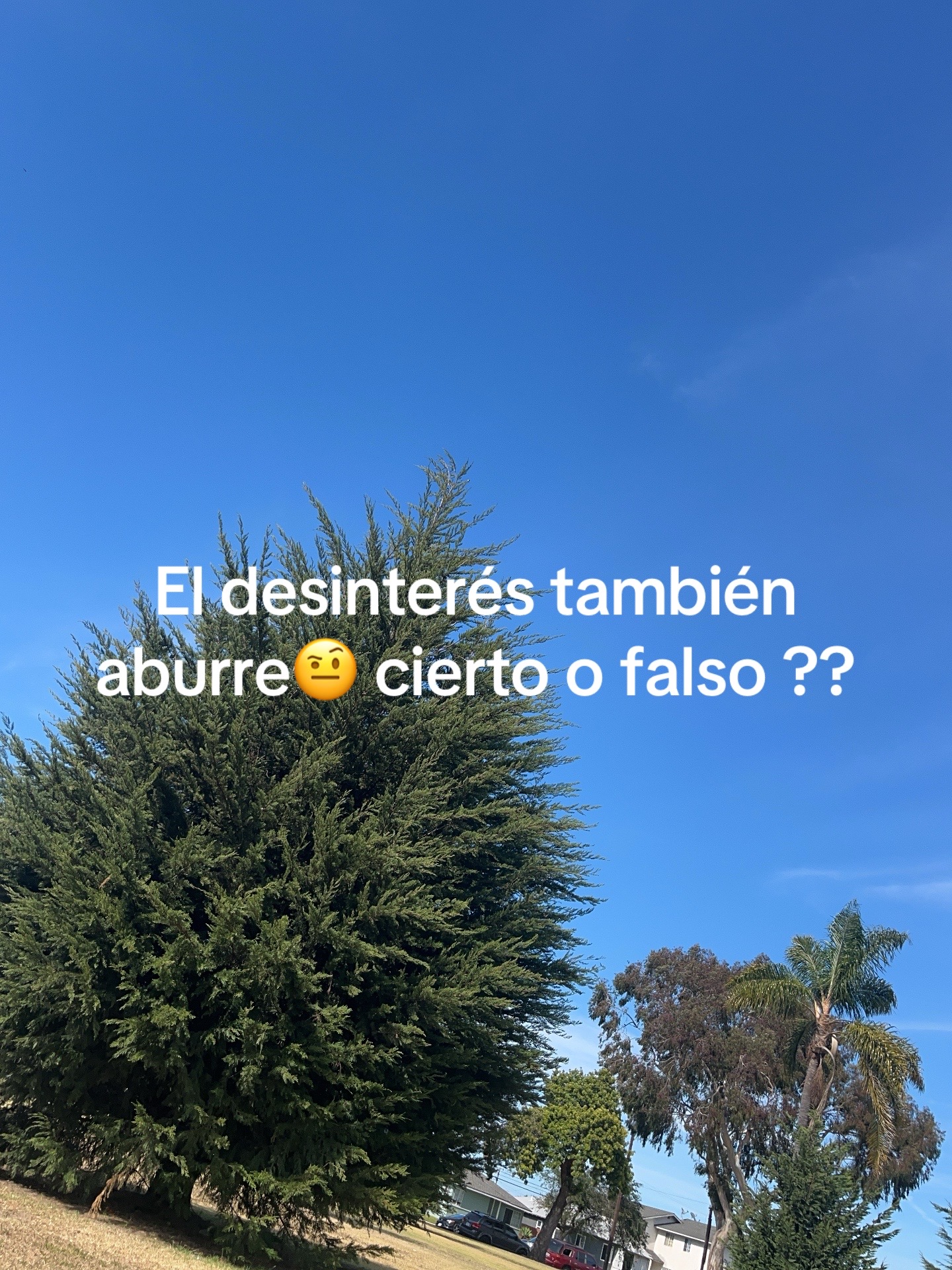 @Lupita 😘😘
