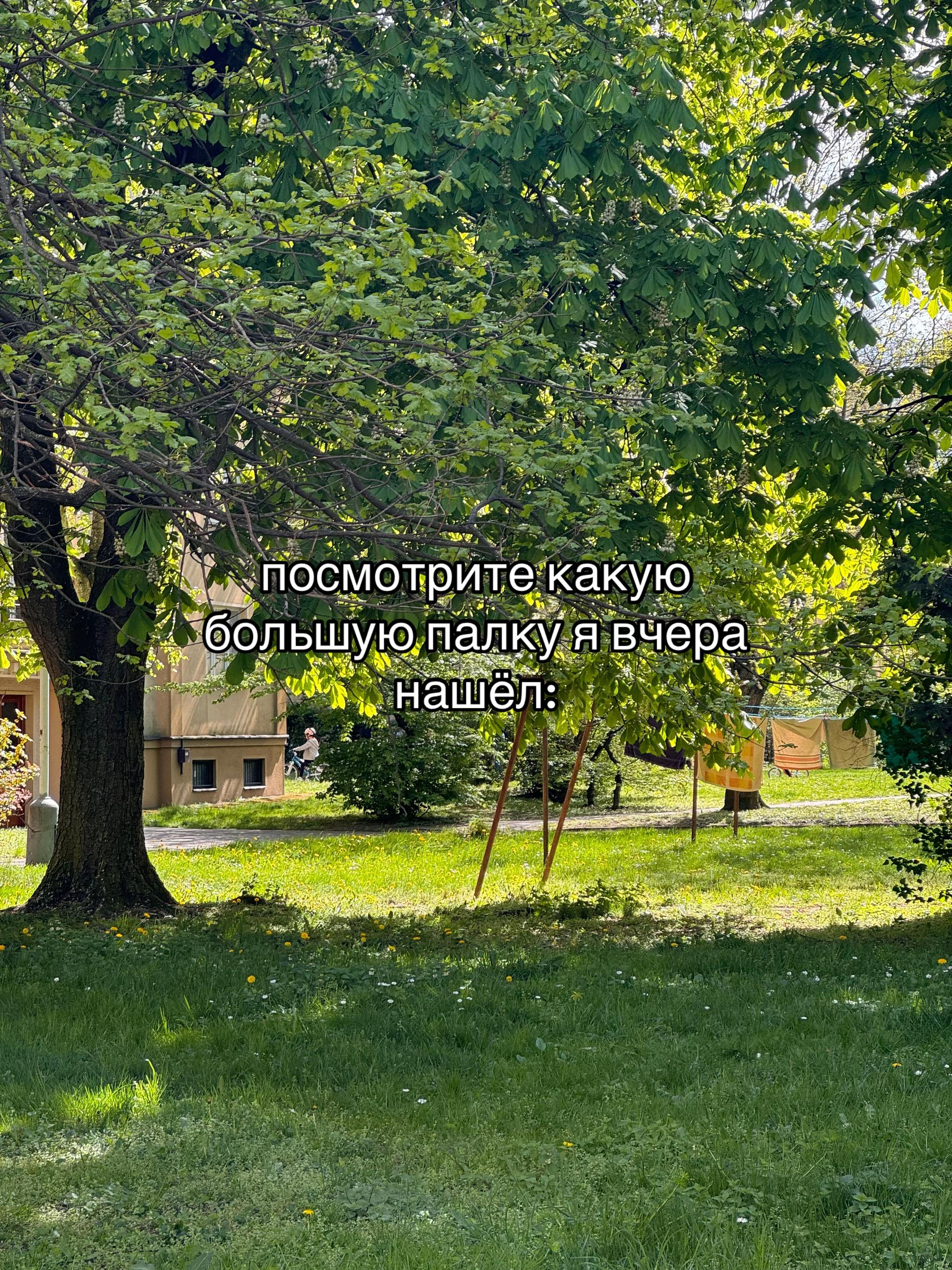 @Не 🐳
