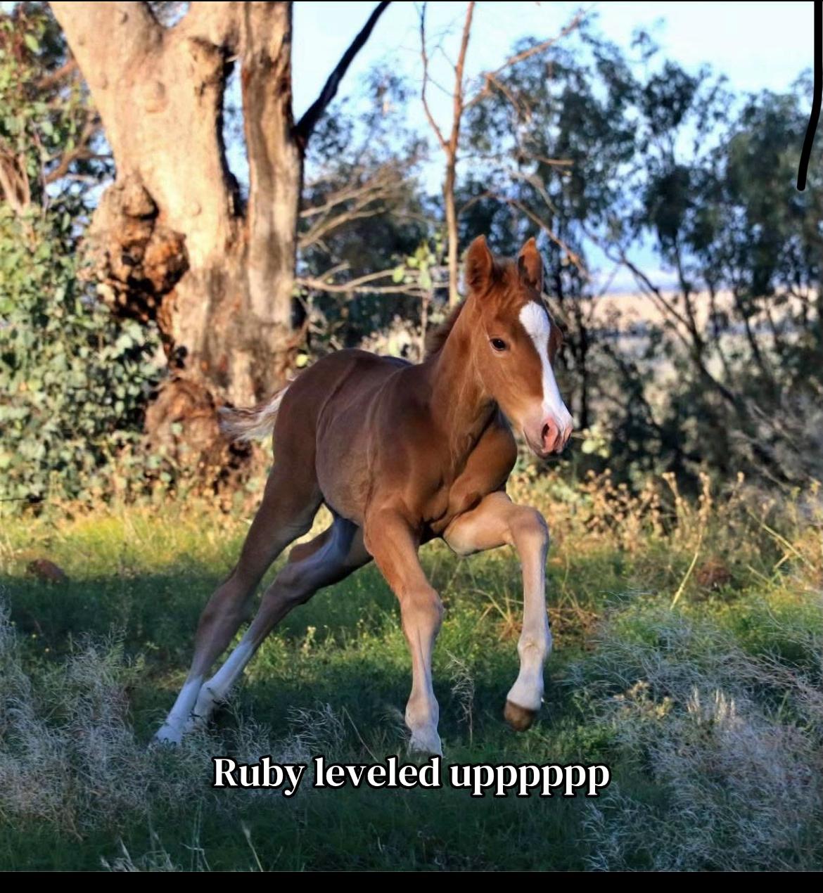 @elke_eq.exc