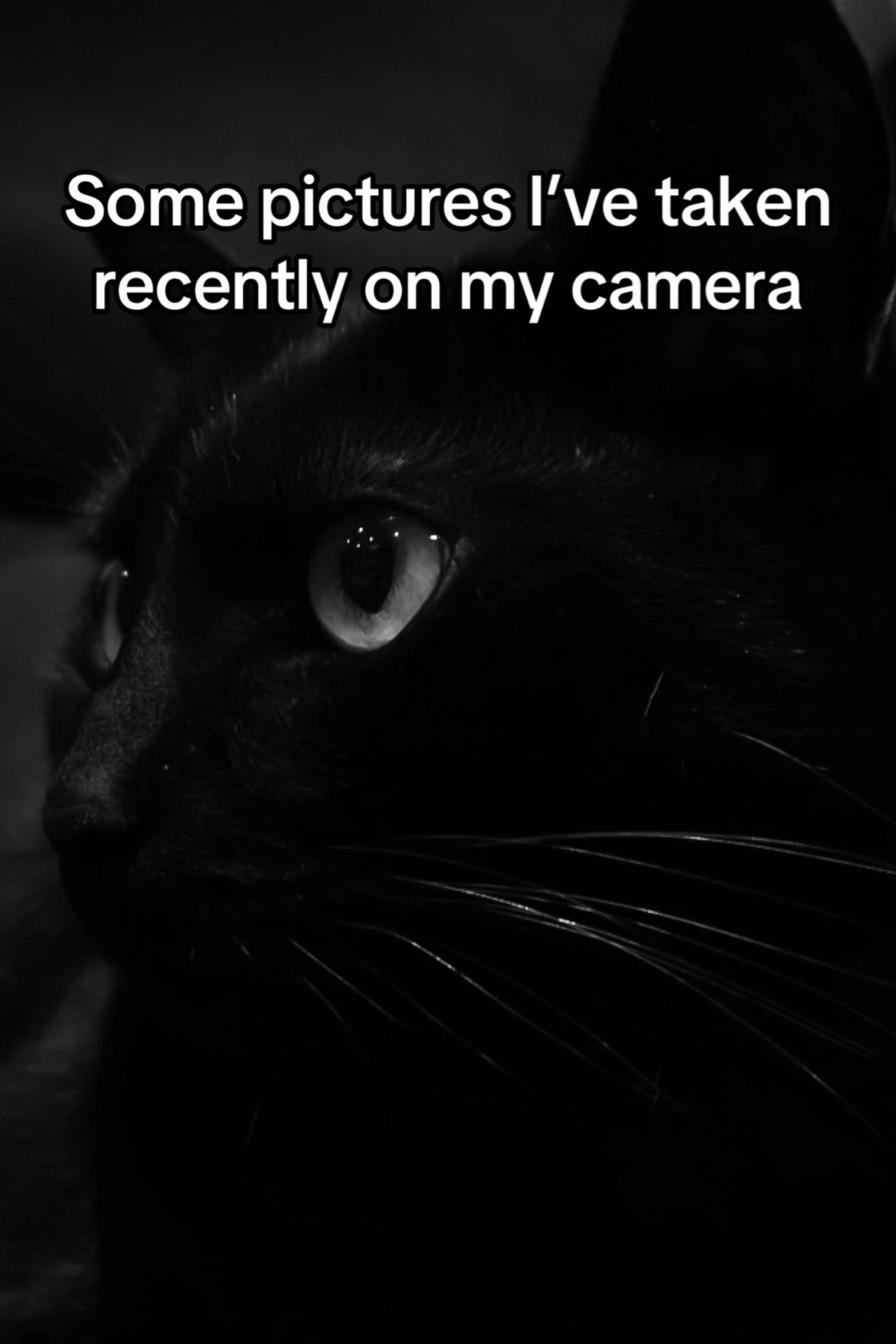 @🤍
