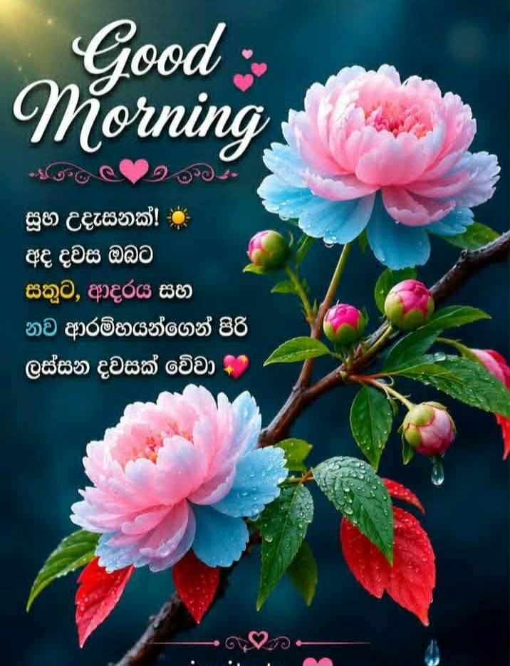 @prasanna