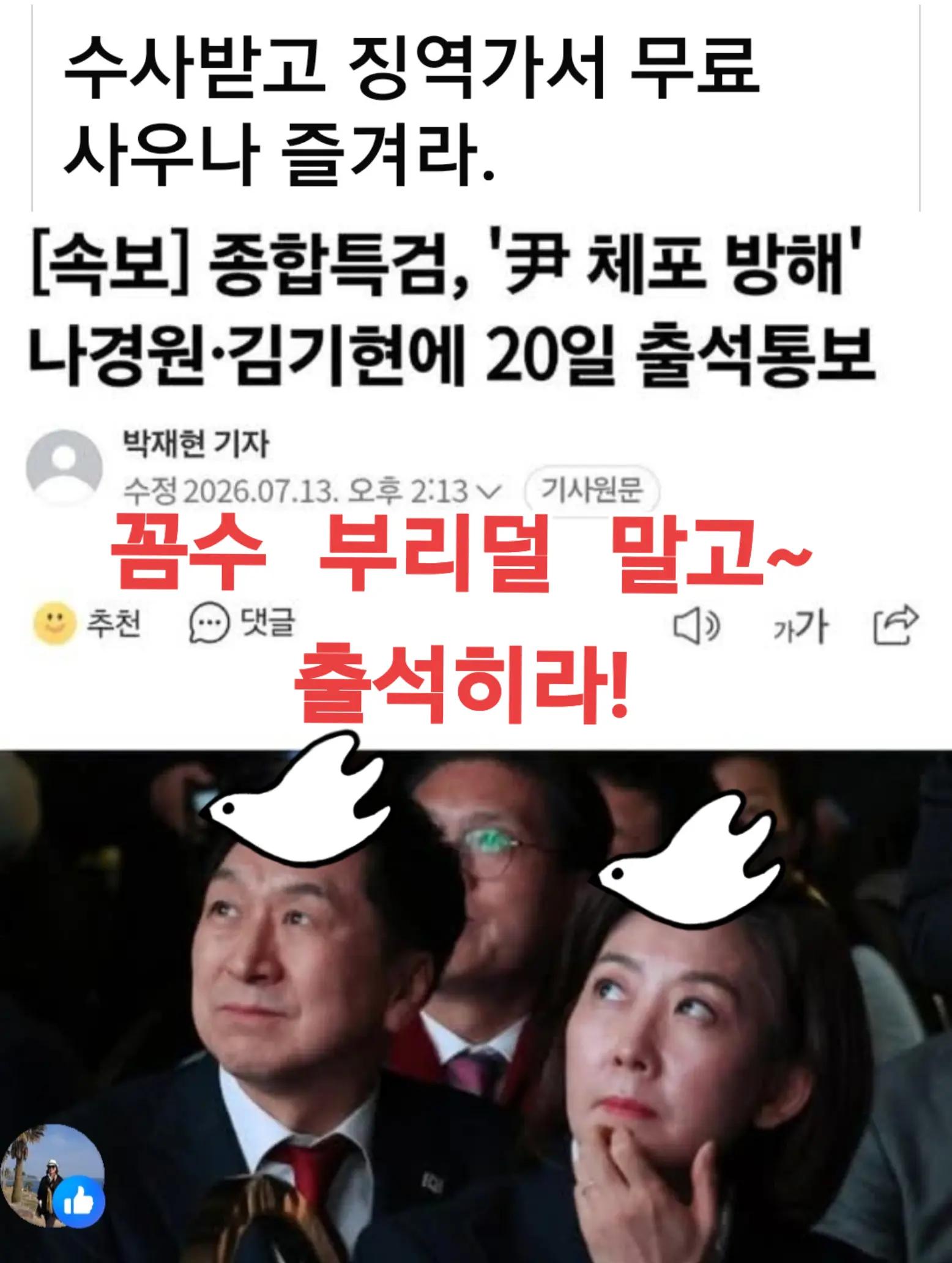 @🌺시라소니[본]🌺