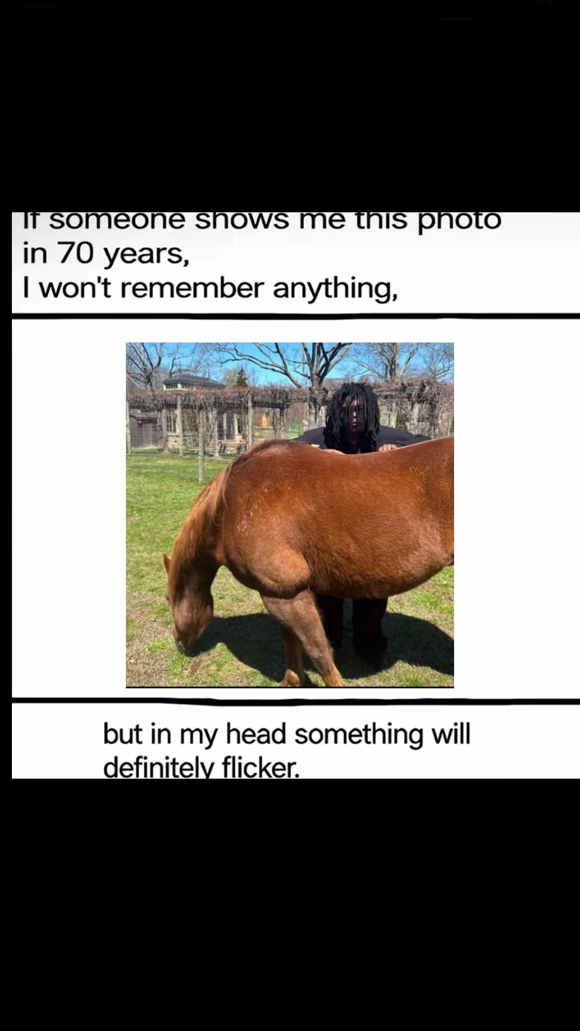 @¥Z¥