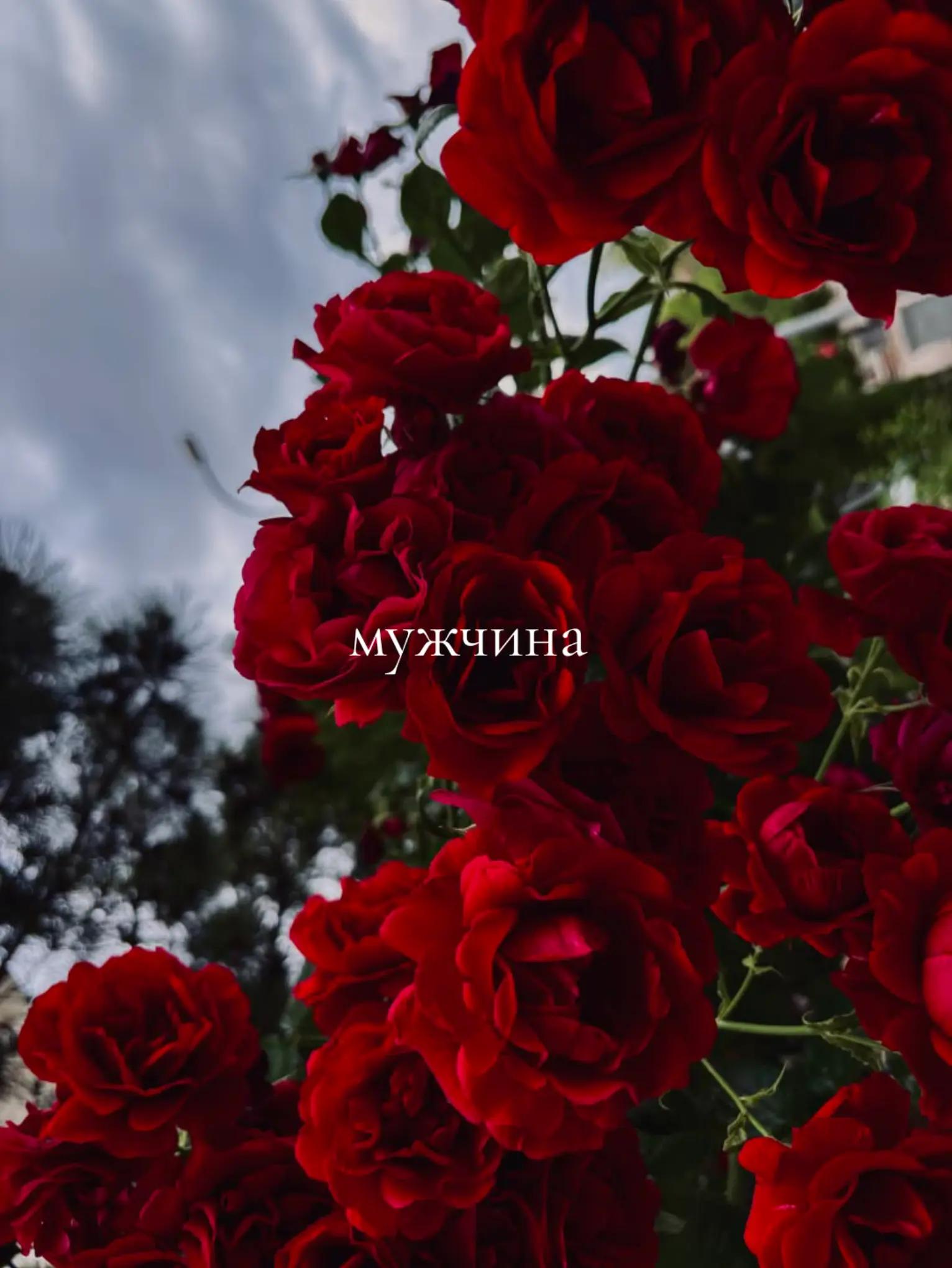 @здесь грустно