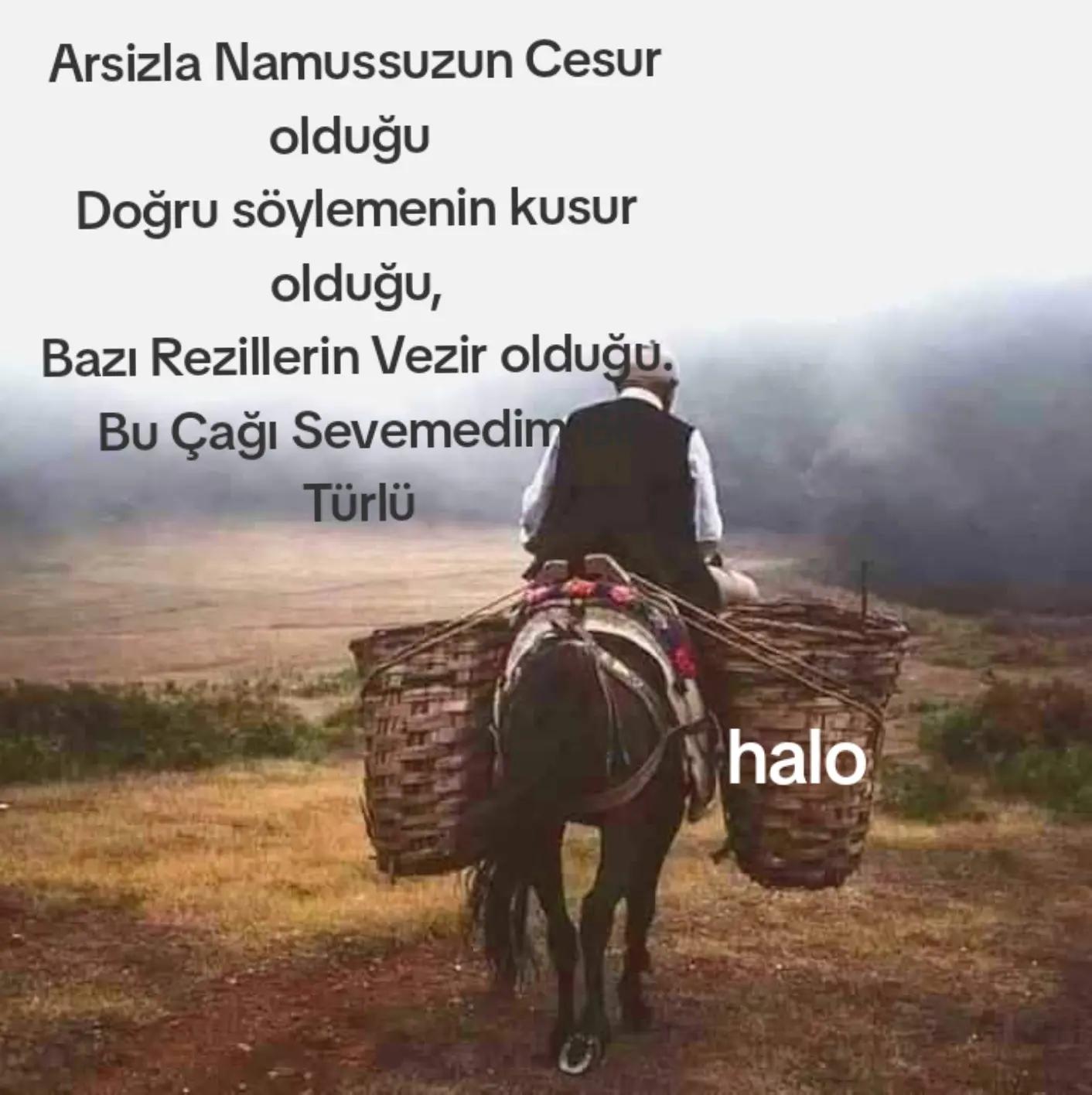 @Halo