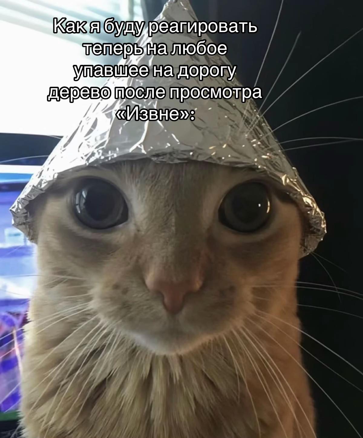@Бельферг