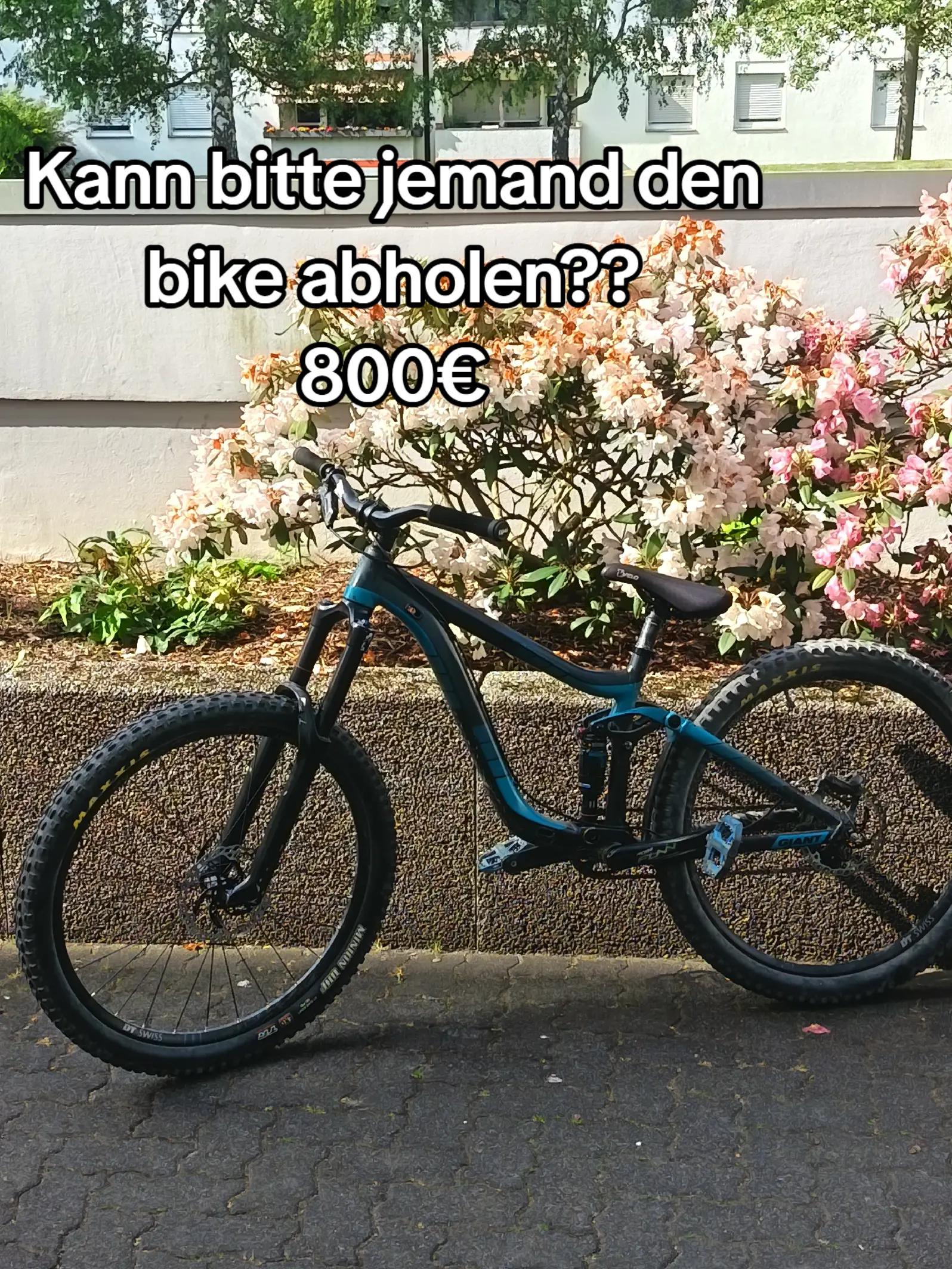 @nikita.on.giant