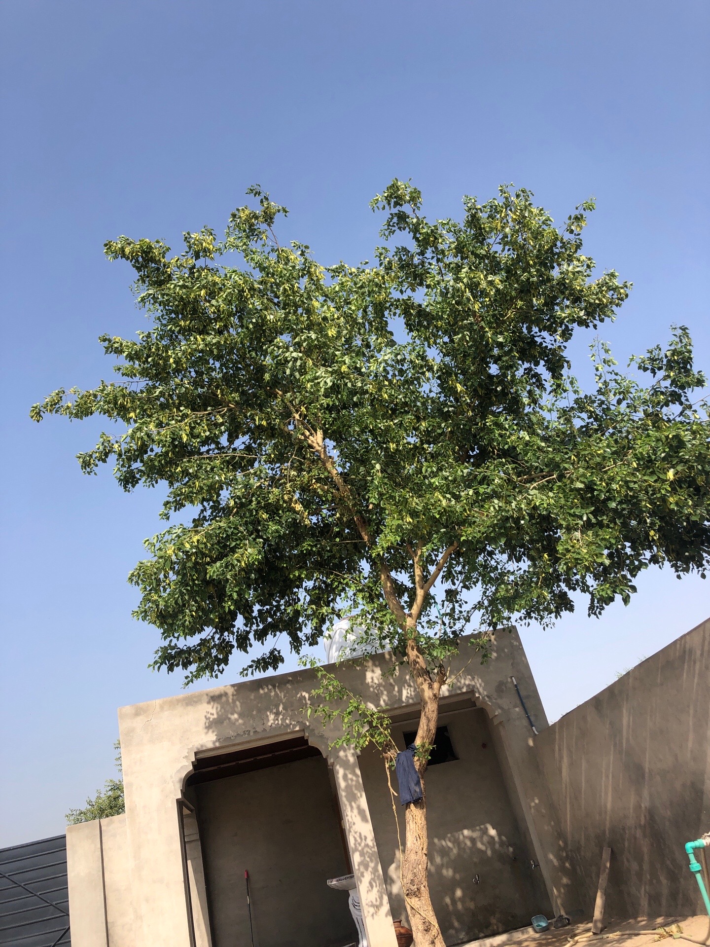 @ساجی موہل