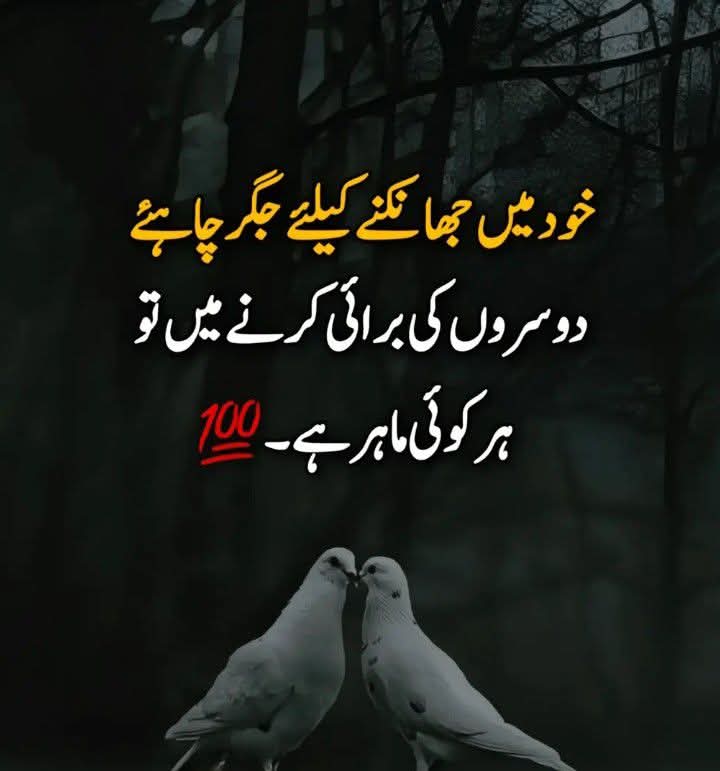 @NOOR QURESHI