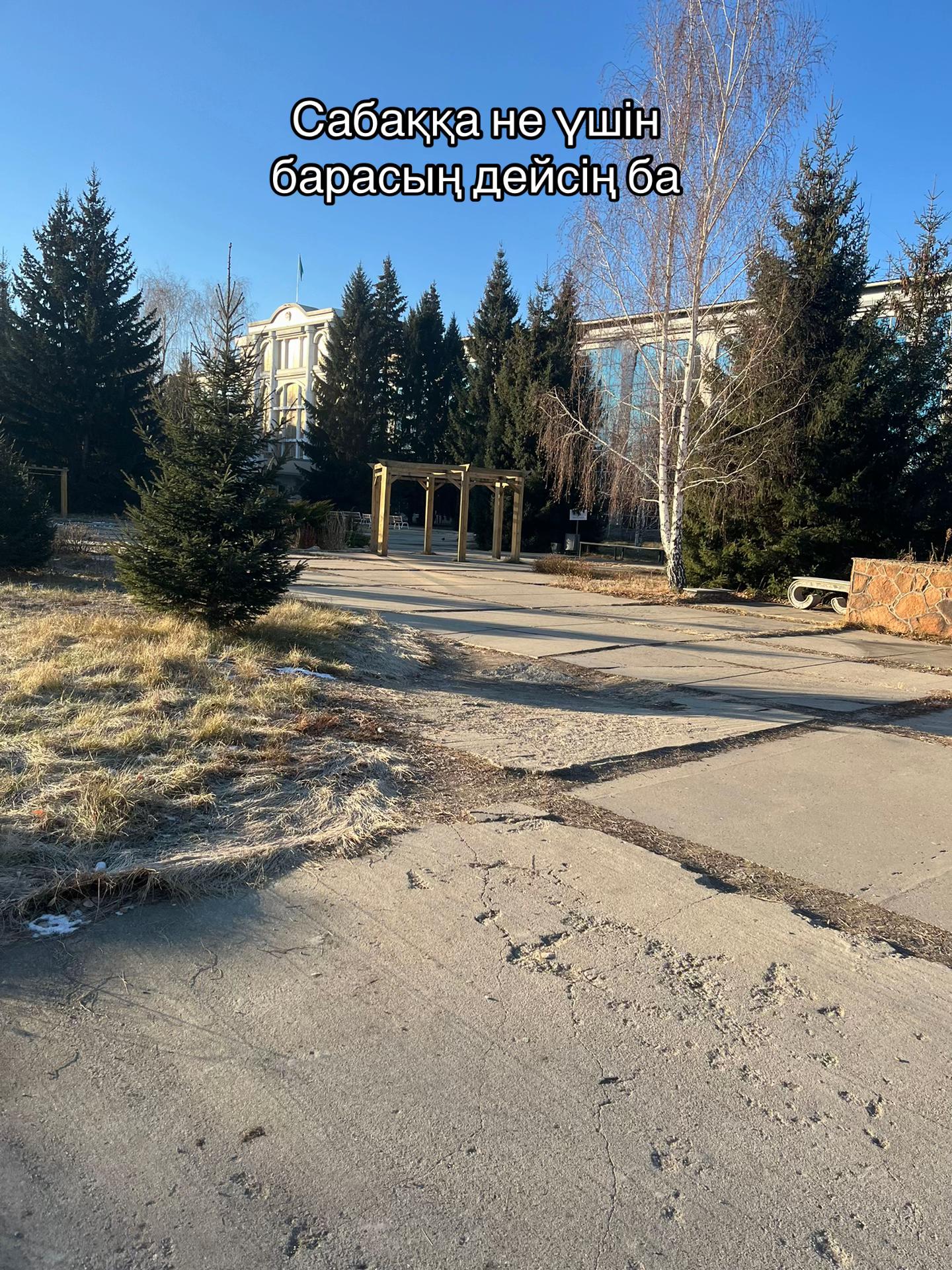 @Проста адам