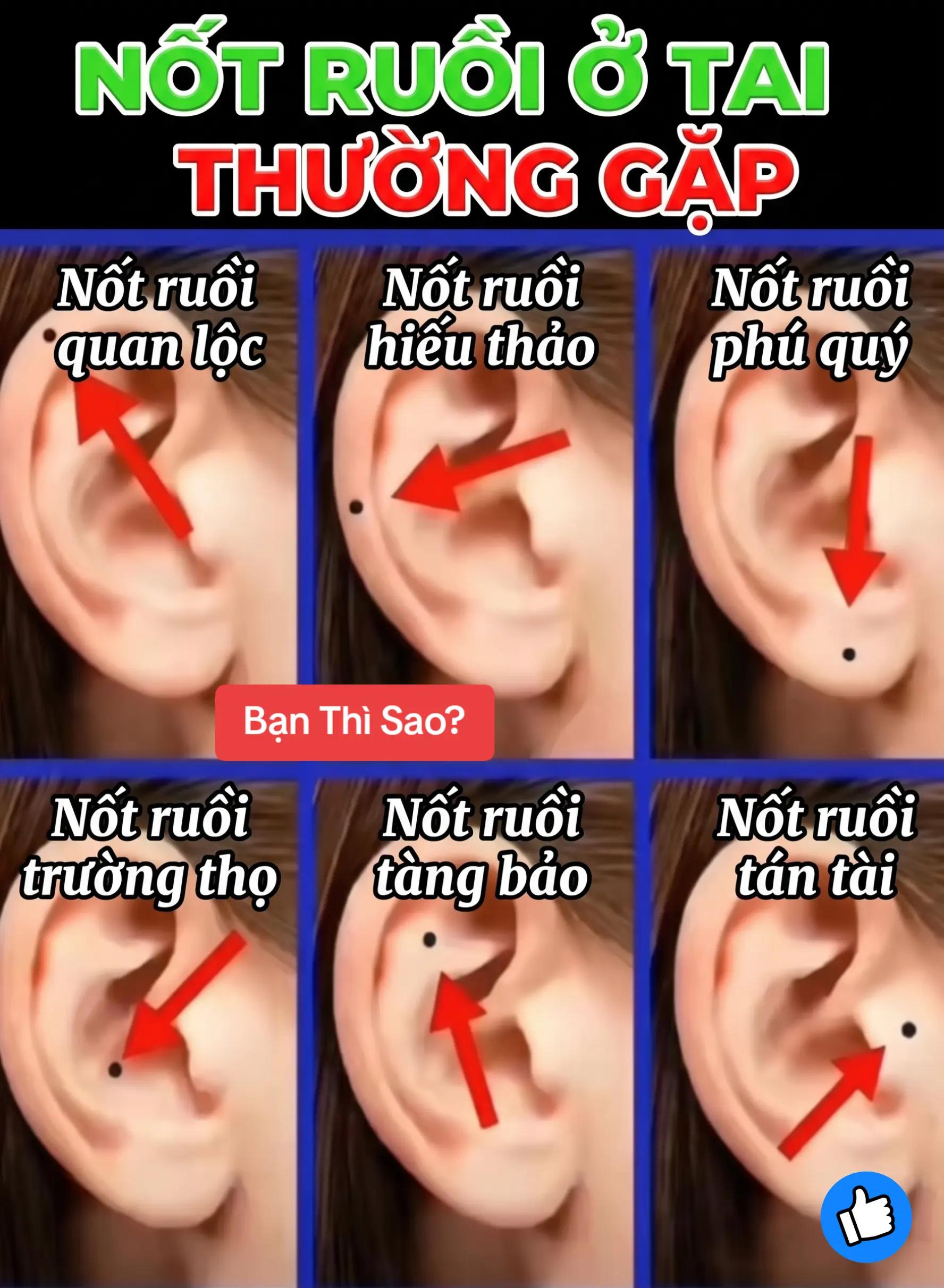 @Nhân Tướng Hiểu Mình