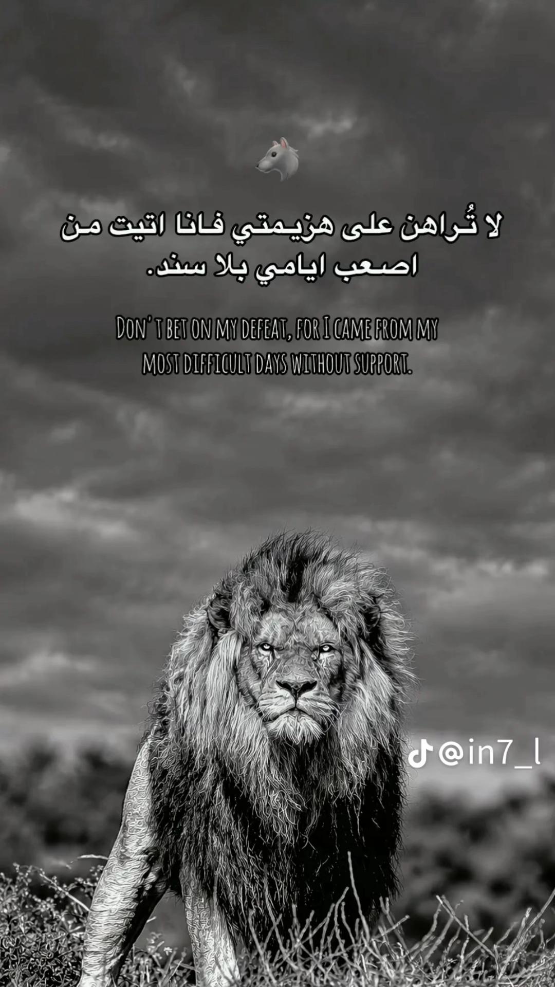 @⚜️🔱الشريف🔱⚜️