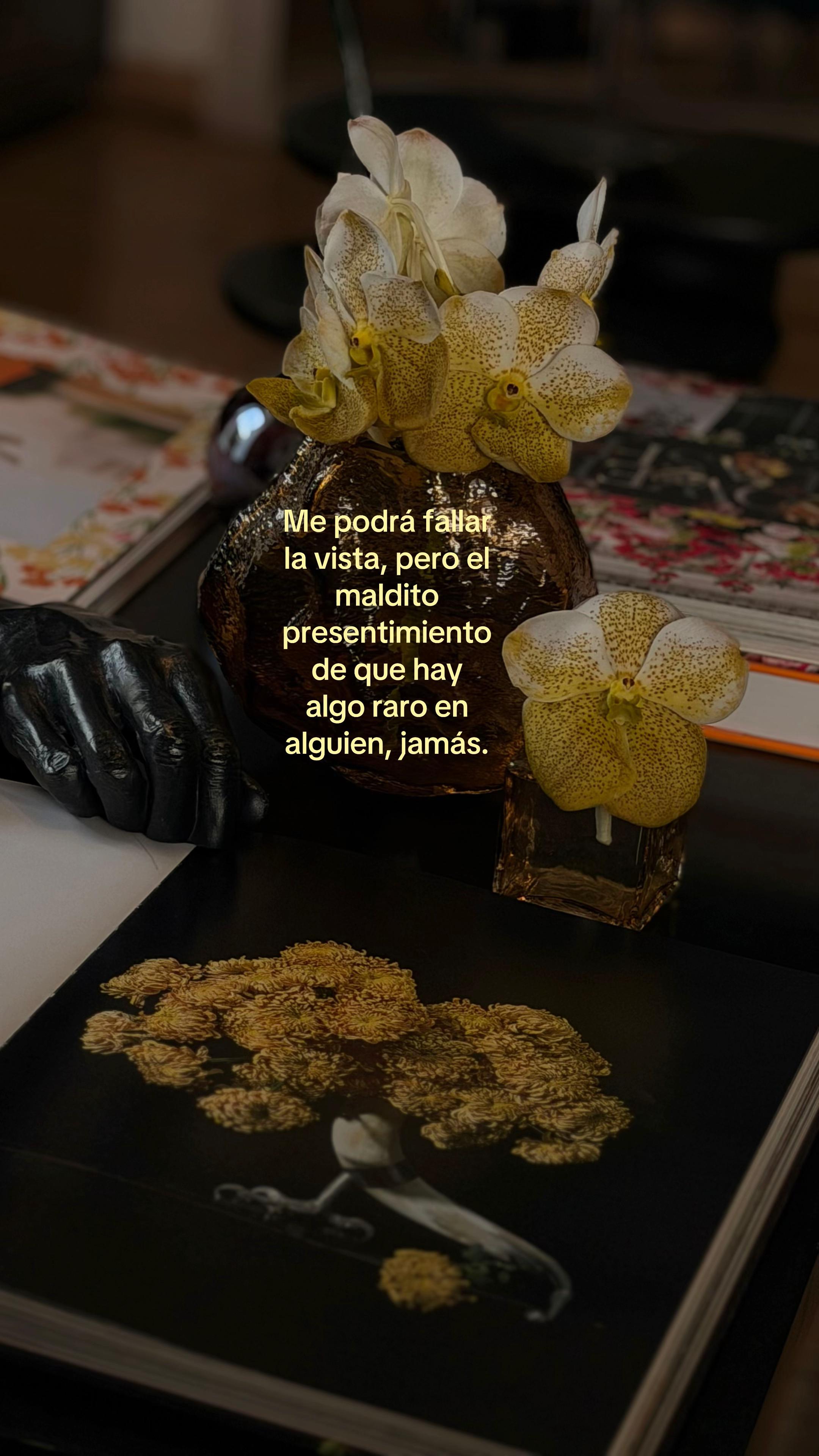 @Fabian Vejar