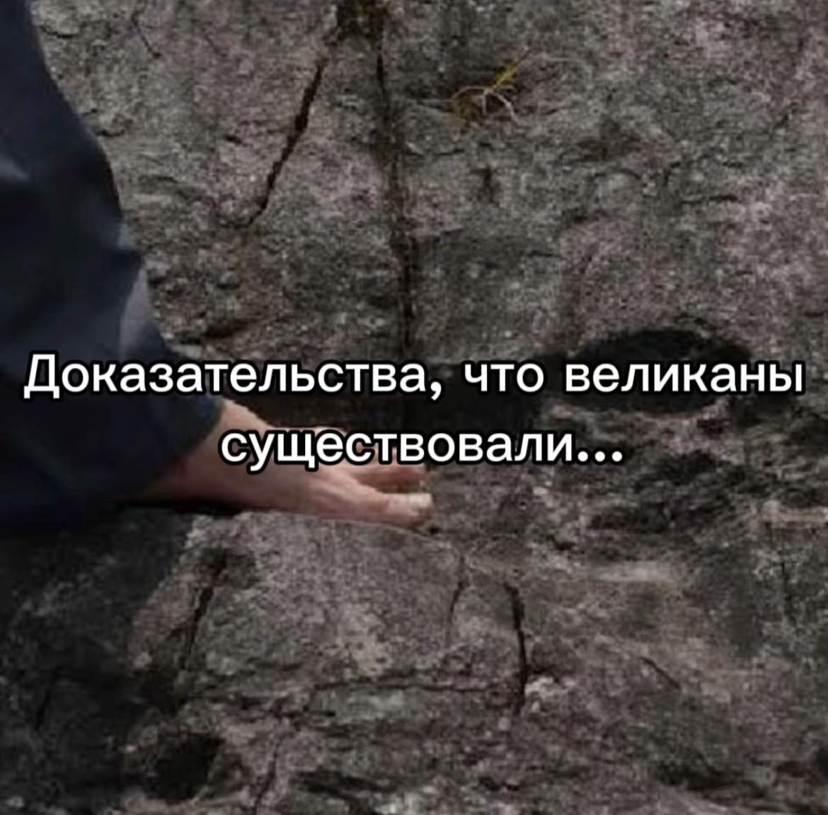 @плюша XD