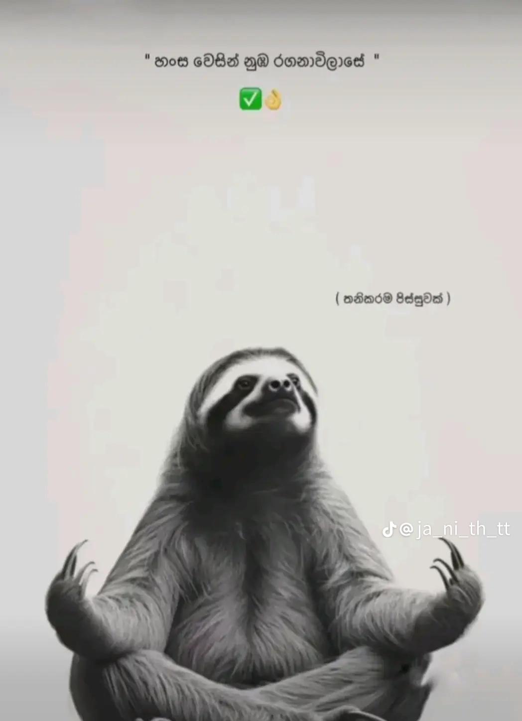 @_ℝ𝕒𝕧𝕚𝕪𝕒_🀄☬