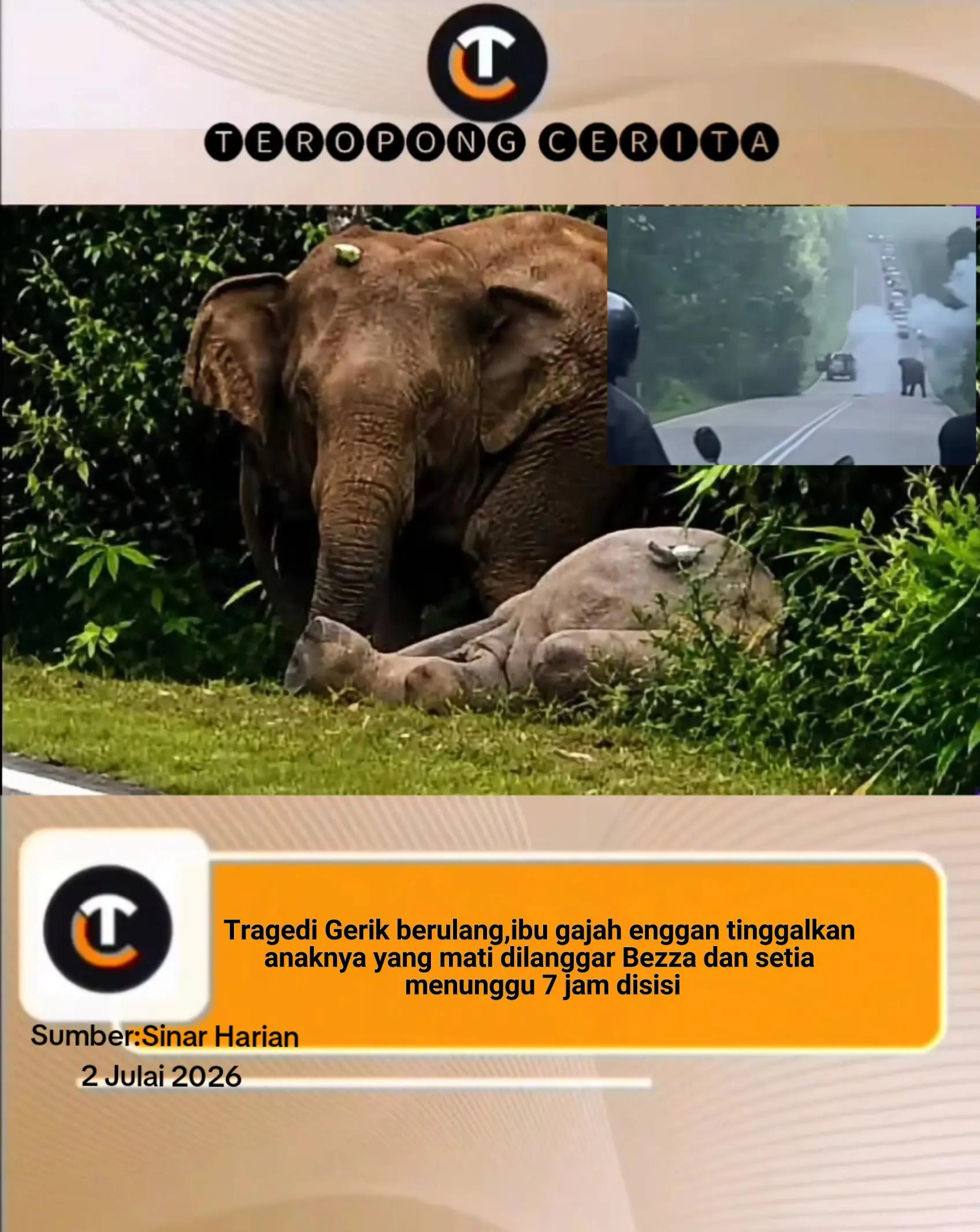 @Tₑᵣₒₚₒₙg CₑᵣᵢₜA