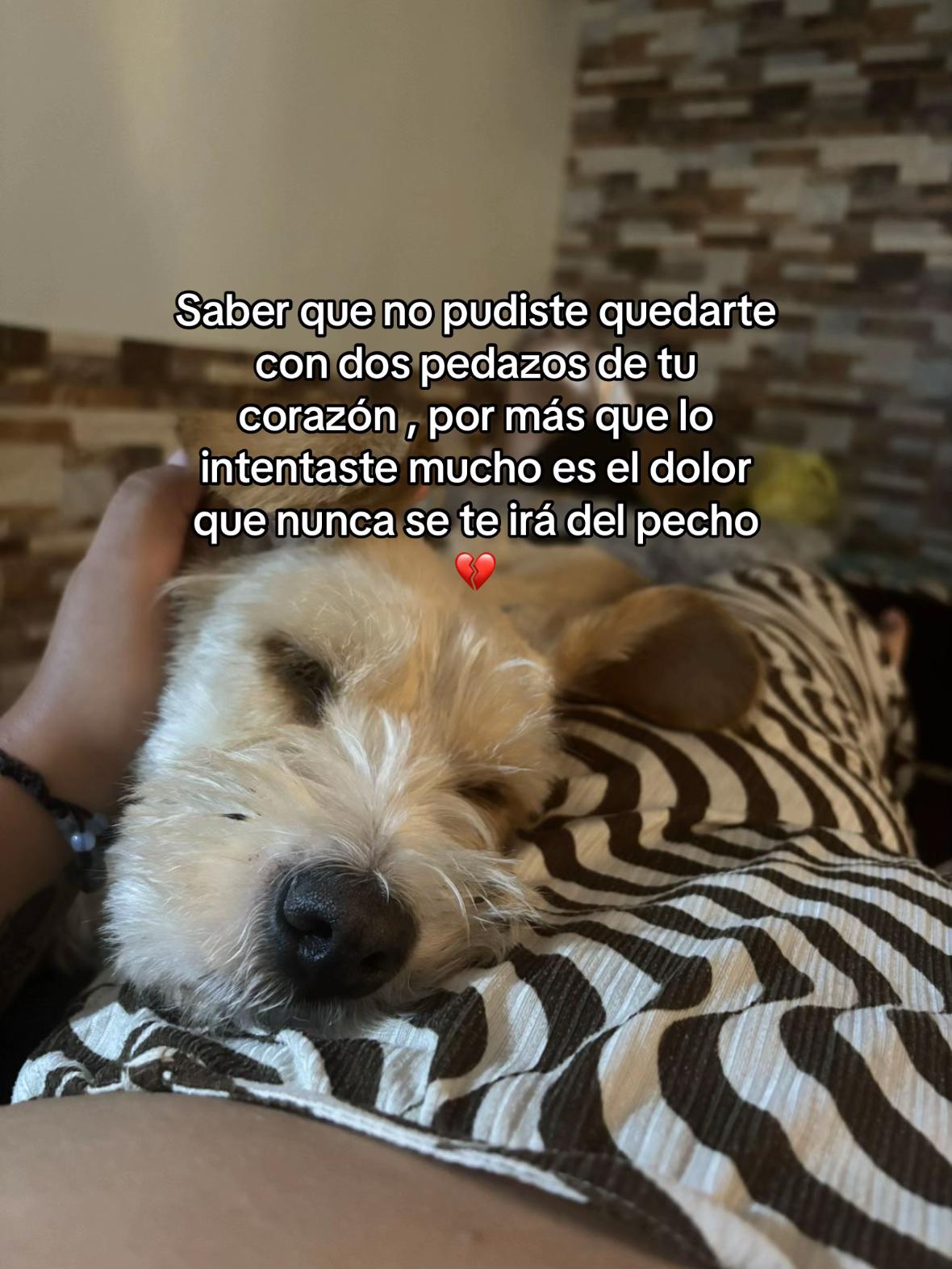 @Samira Serna